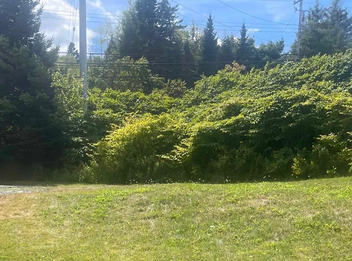 1203 St Margaret's Bay Road, Timberlea, NS B3N 1J8, ,Land,For Sale,St Margaret's Bay,202521470