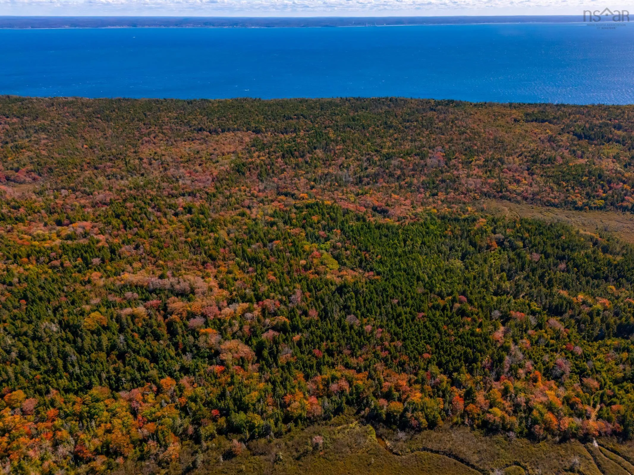 Highway 217, Central Grove, NS B0V 1B0, ,Land,For Sale,Highway 217,202524811