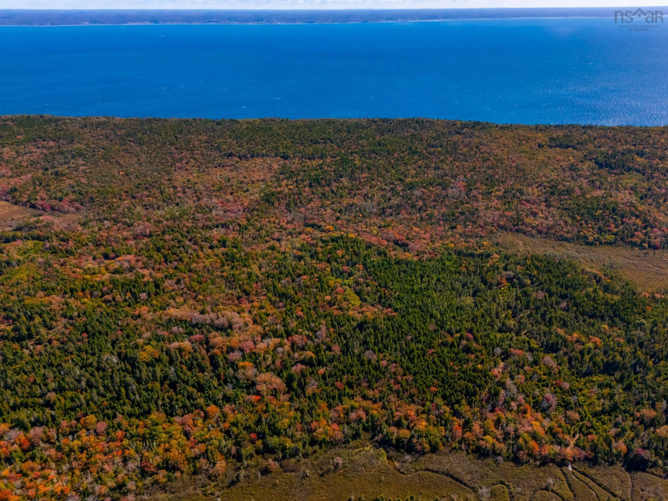 Highway 217, Central Grove, NS B0V 1B0, ,Land,For Sale,Highway 217,202524811