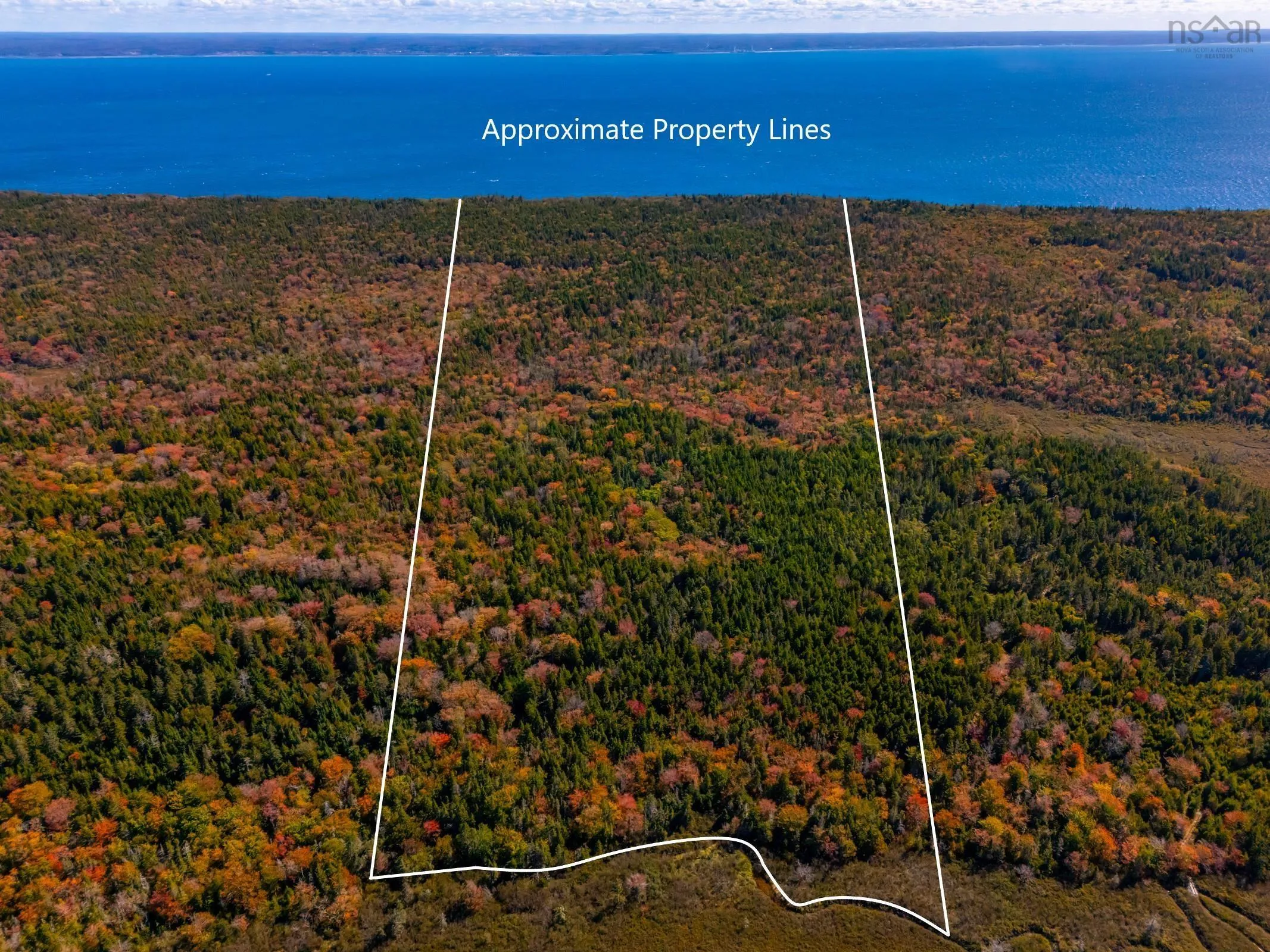Highway 217, Central Grove, NS B0V 1B0, ,Land,For Sale,Highway 217,202524811