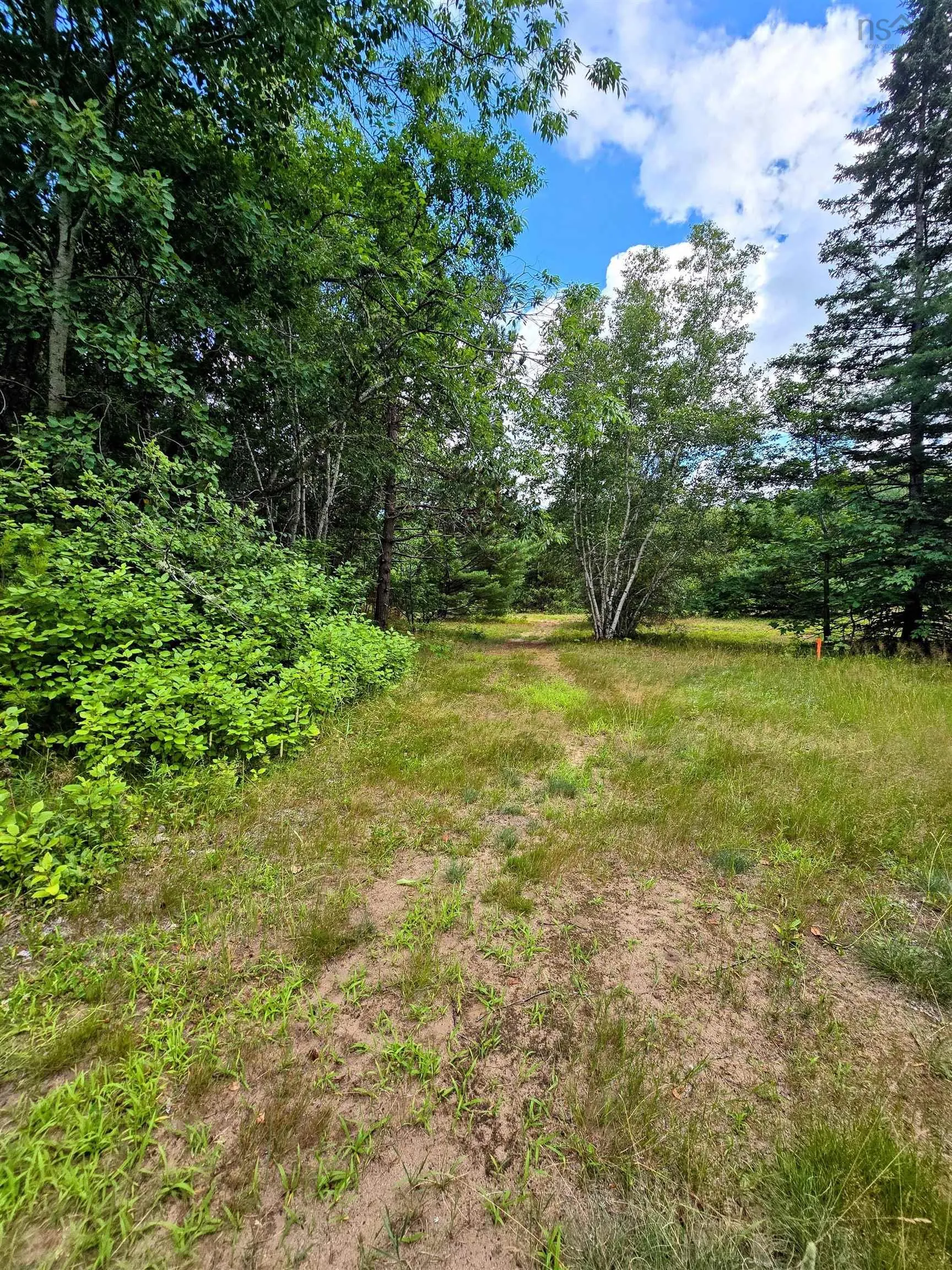 10310 201 Highway, Meadowvale, NS B0P 1R0, 3 Bedrooms Bedrooms, ,1 BathroomBathrooms,Residential,For Sale,201,202518324