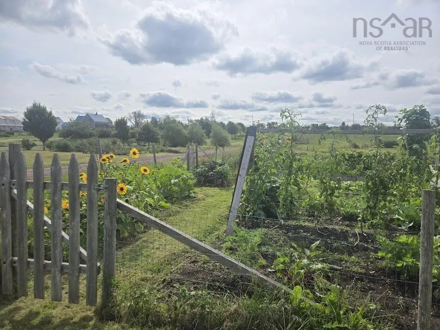 803 6 Highway, Marshville Ns B0k 1n0, 3 Bedrooms Bedrooms, ,2 BathroomsBathrooms,Farm,For Sale,6,202422438