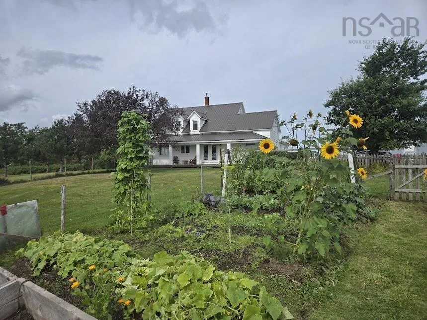 803 6 Highway, Marshville Ns B0k 1n0, 3 Bedrooms Bedrooms, ,2 BathroomsBathrooms,Farm,For Sale,6,202422438