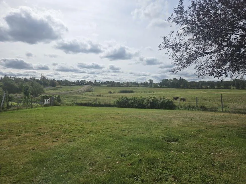 803 6 Highway, Marshville Ns B0k 1n0, 3 Bedrooms Bedrooms, ,2 BathroomsBathrooms,Farm,For Sale,6,202422438