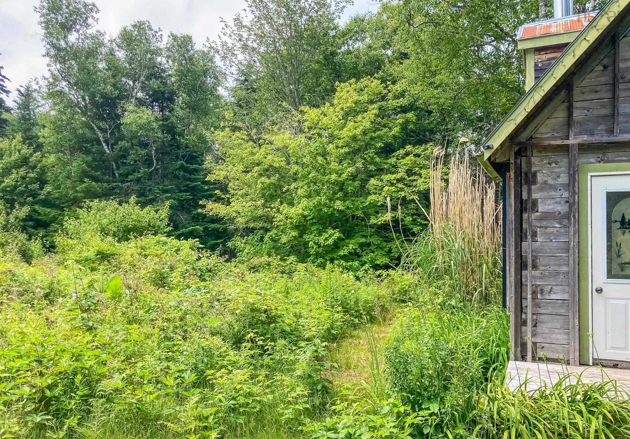 Baxters Harbour Road, Baxters Harbour, NS B0P 1H0, ,Land,For Sale,Baxters Harbour,202517356