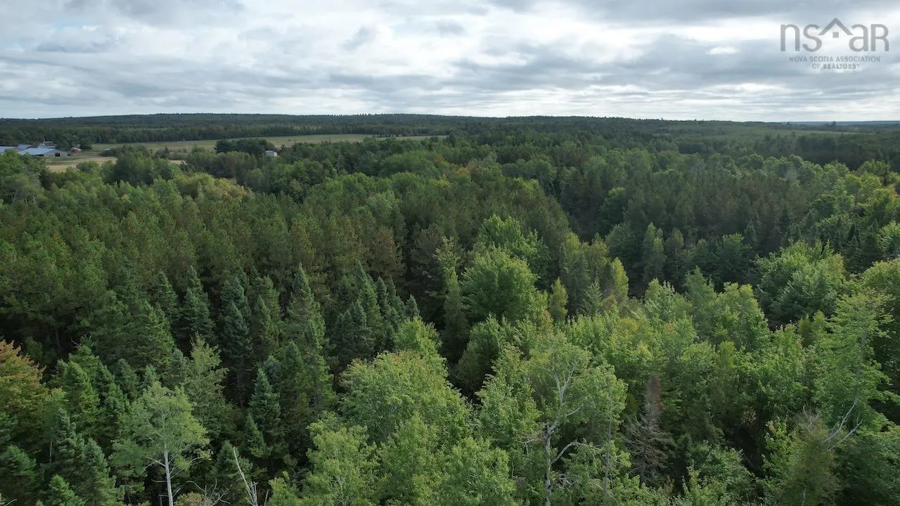 24-3 Highway 321 Highway, Roslin Ns B0m 1p0, ,Land,For Sale,Highway 321,202423000