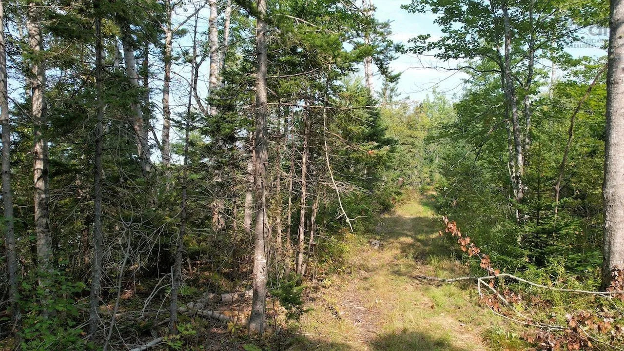 24-3 Highway 321 Highway, Roslin Ns B0m 1p0, ,Land,For Sale,Highway 321,202423000