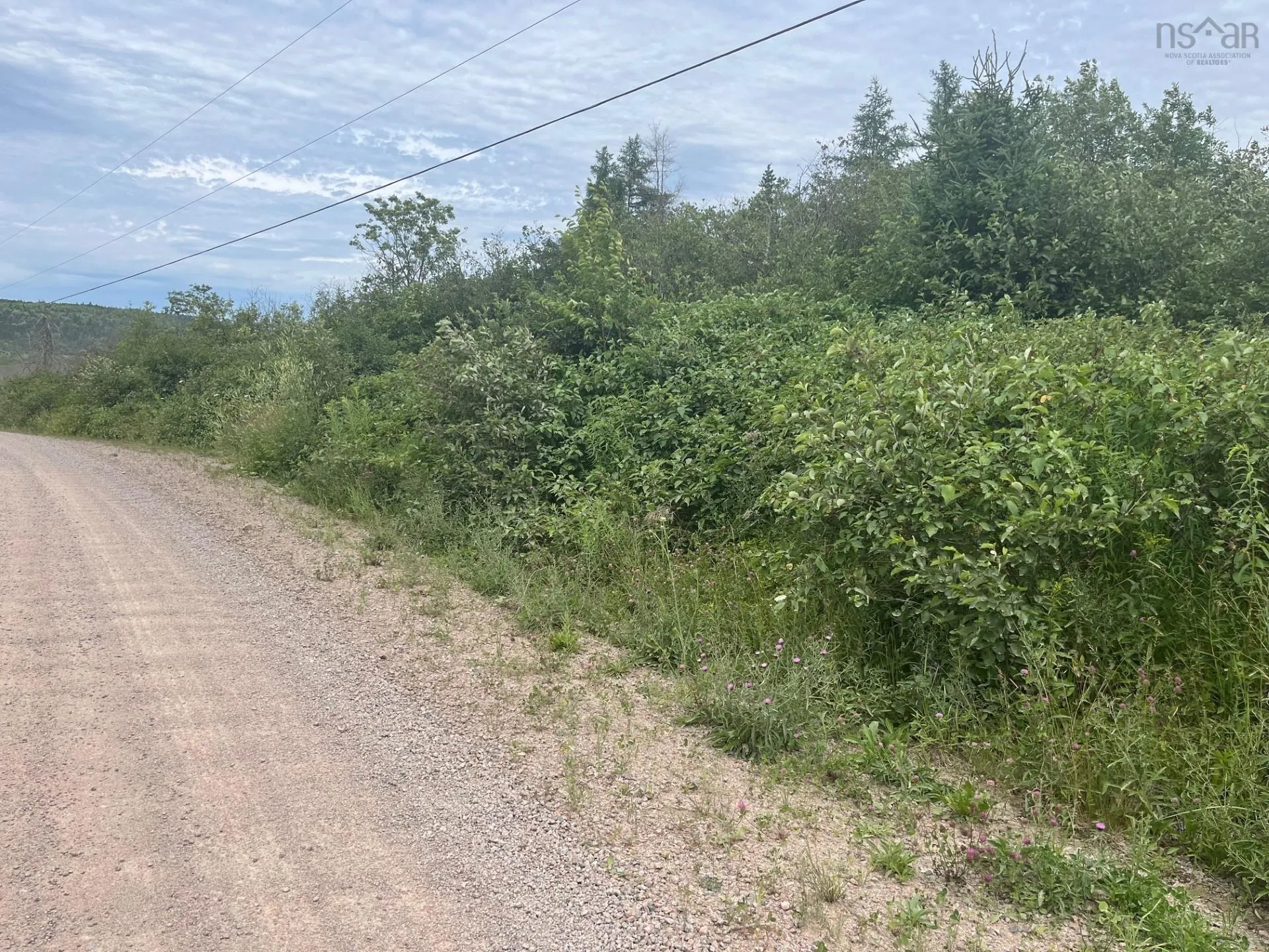 Red Point Road, Mckinnons Harbour, NS B2C 1E8, ,Land,For Sale,Red Point,202518179