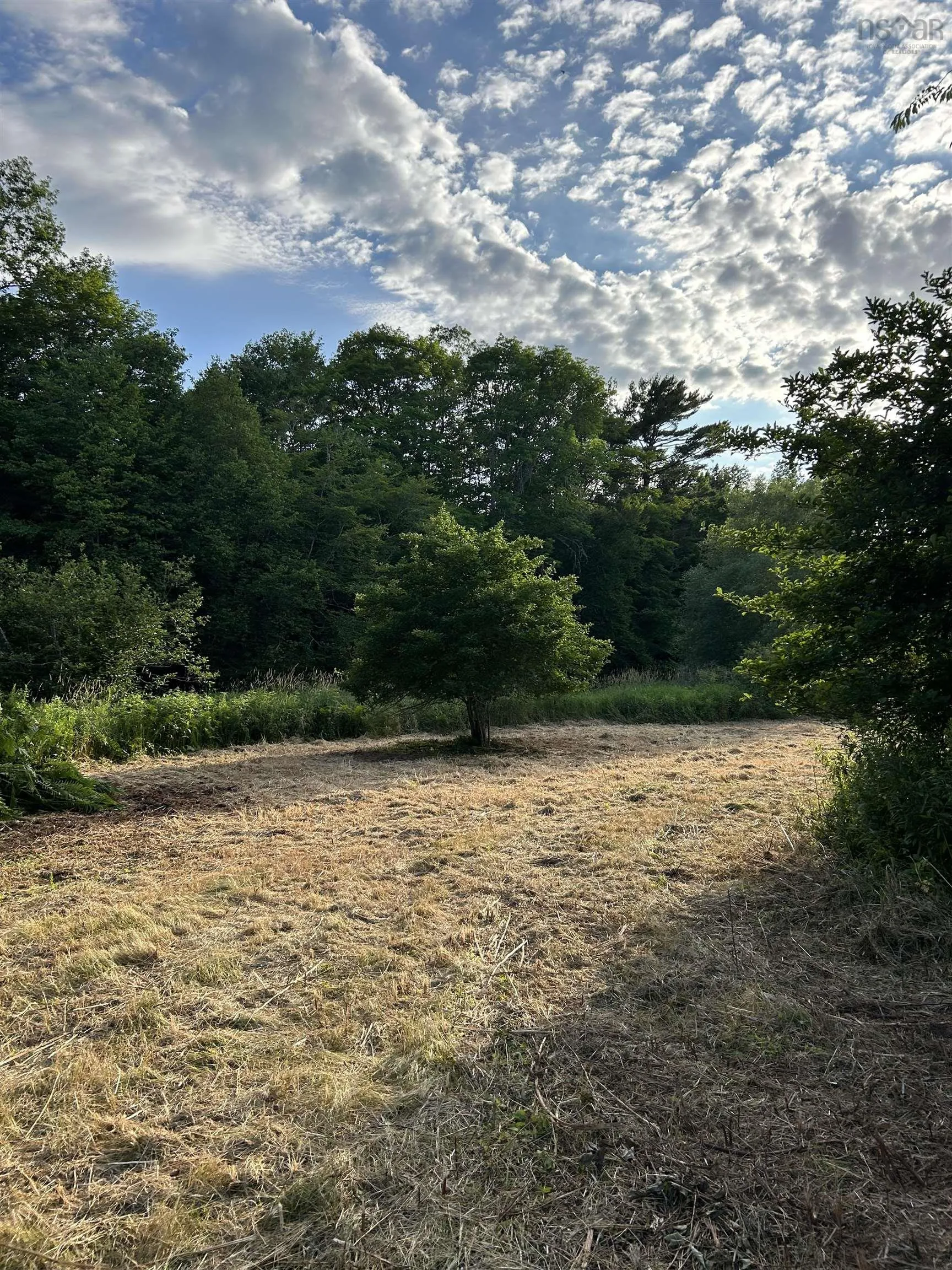 Riverbend Lane, Balfron, NS B0K 1V0, ,Land,For Sale,Riverbend,202517717