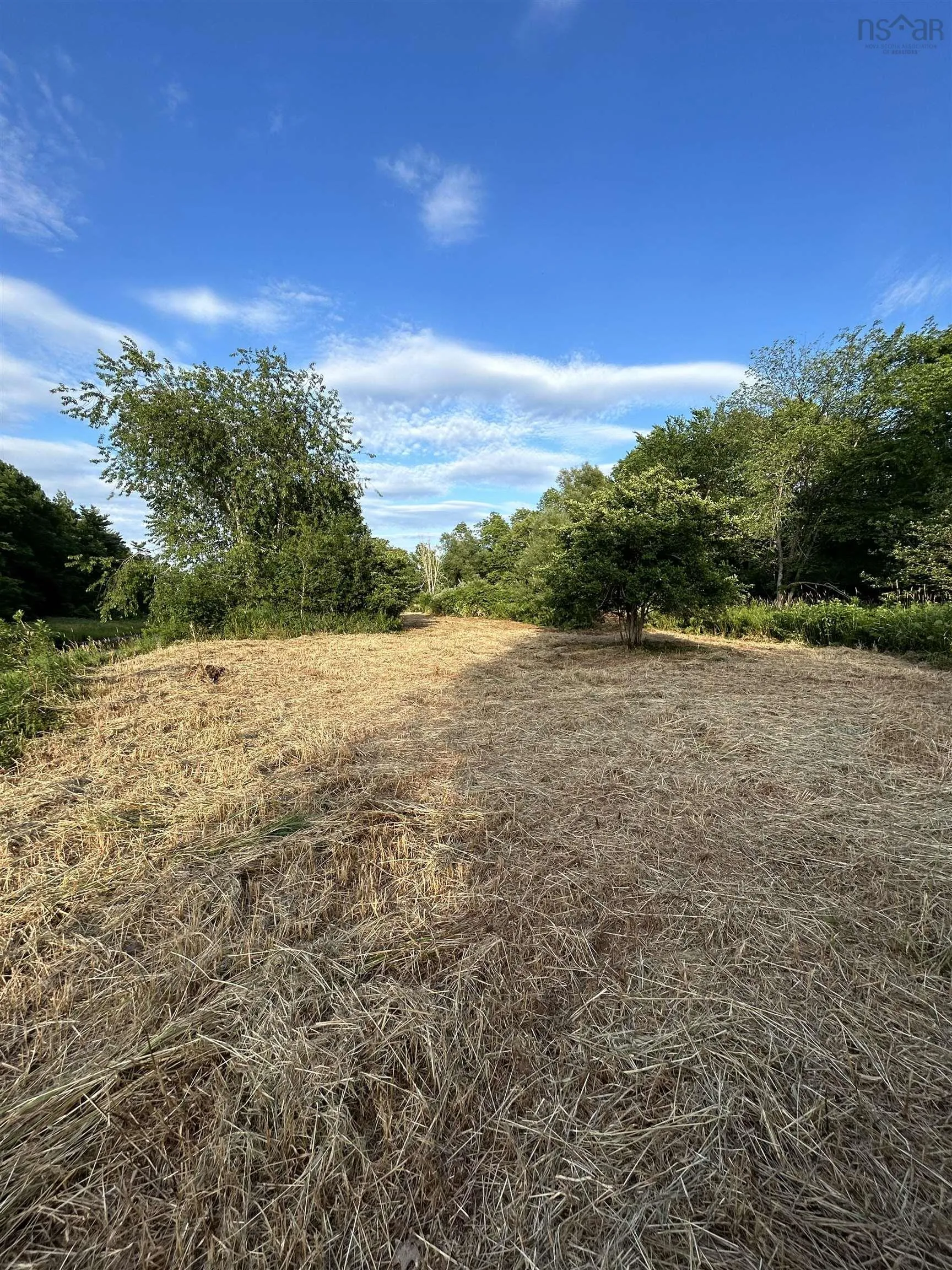 Riverbend Lane, Balfron, NS B0K 1V0, ,Land,For Sale,Riverbend,202517717