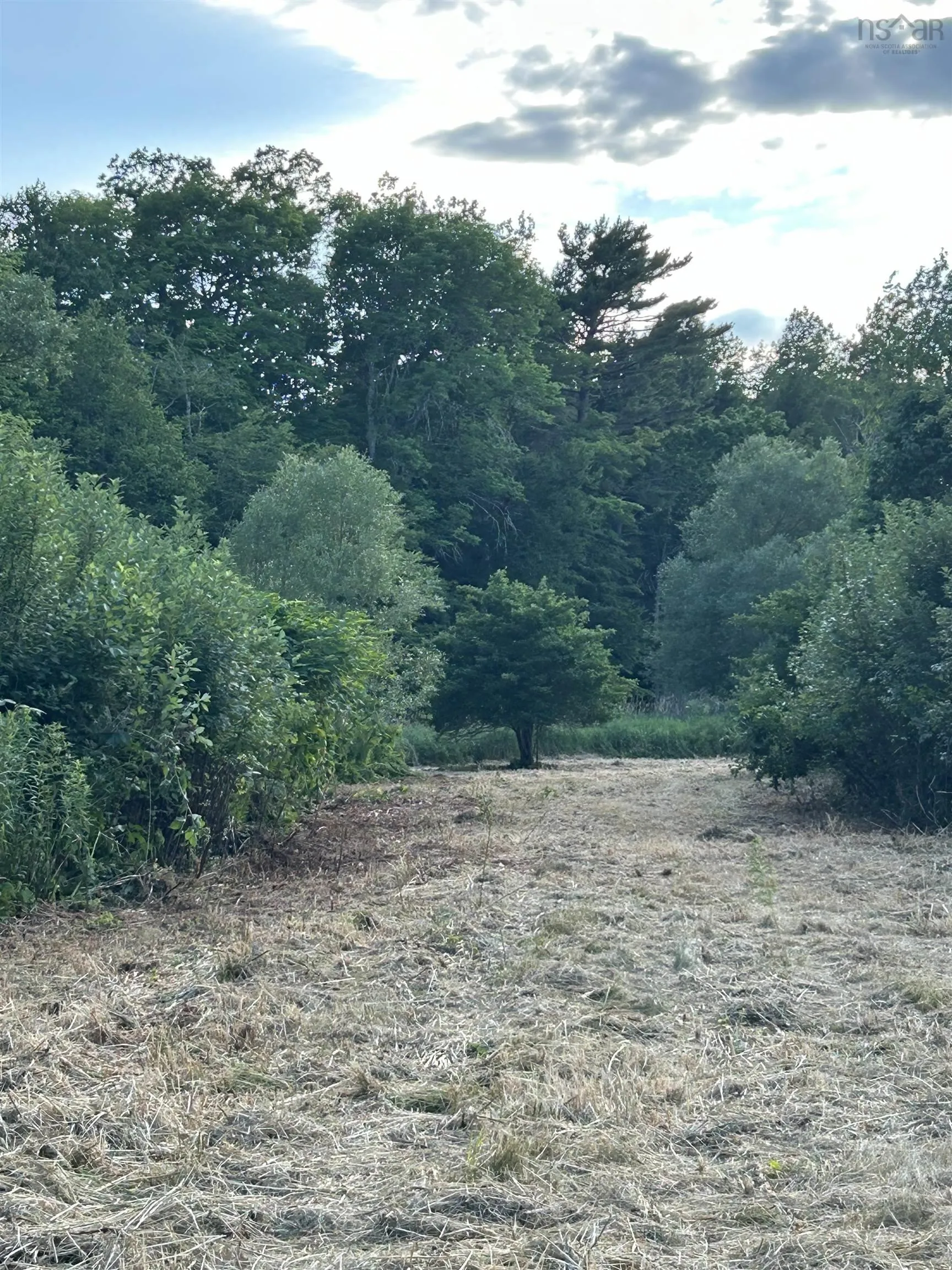 Riverbend Lane, Balfron, NS B0K 1V0, ,Land,For Sale,Riverbend,202517717