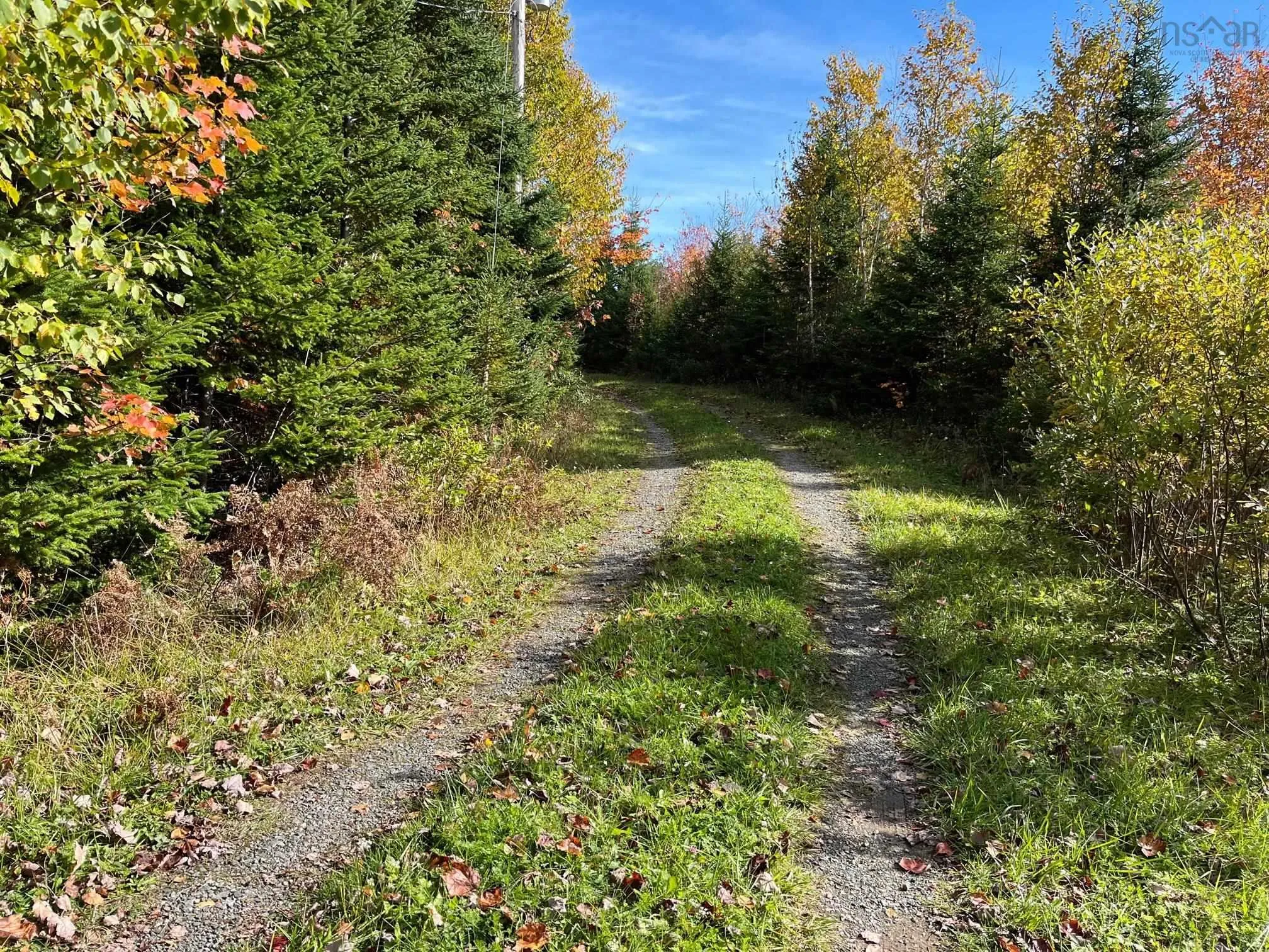 1223 Highway 223, Estmere Ns B0e 1t0, 4 Bedrooms Bedrooms, ,2 BathroomsBathrooms,Residential,For Sale,Highway 223,202224338