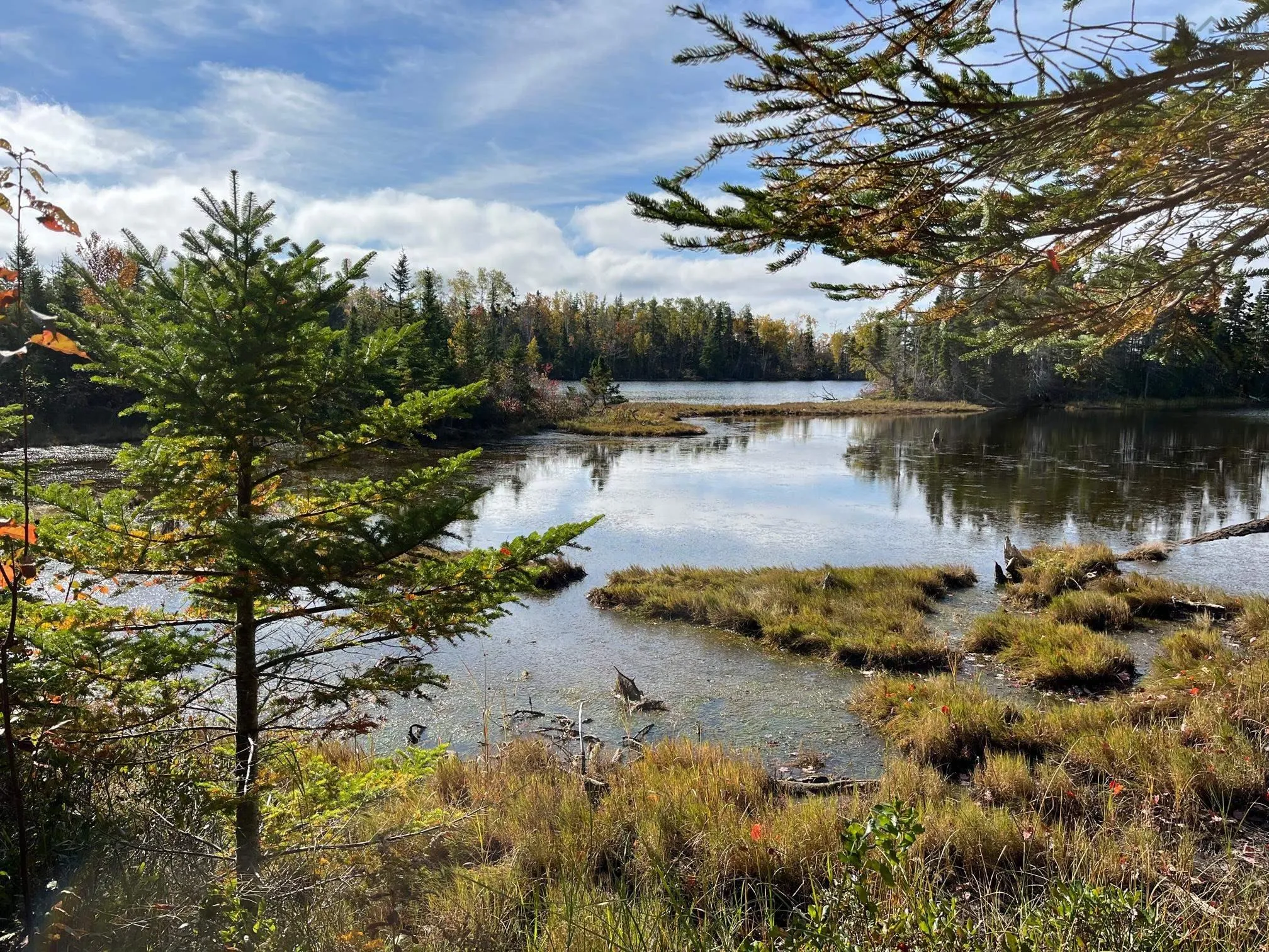 1223 Highway 223, Estmere Ns B0e 1t0, 4 Bedrooms Bedrooms, ,2 BathroomsBathrooms,Residential,For Sale,Highway 223,202224338