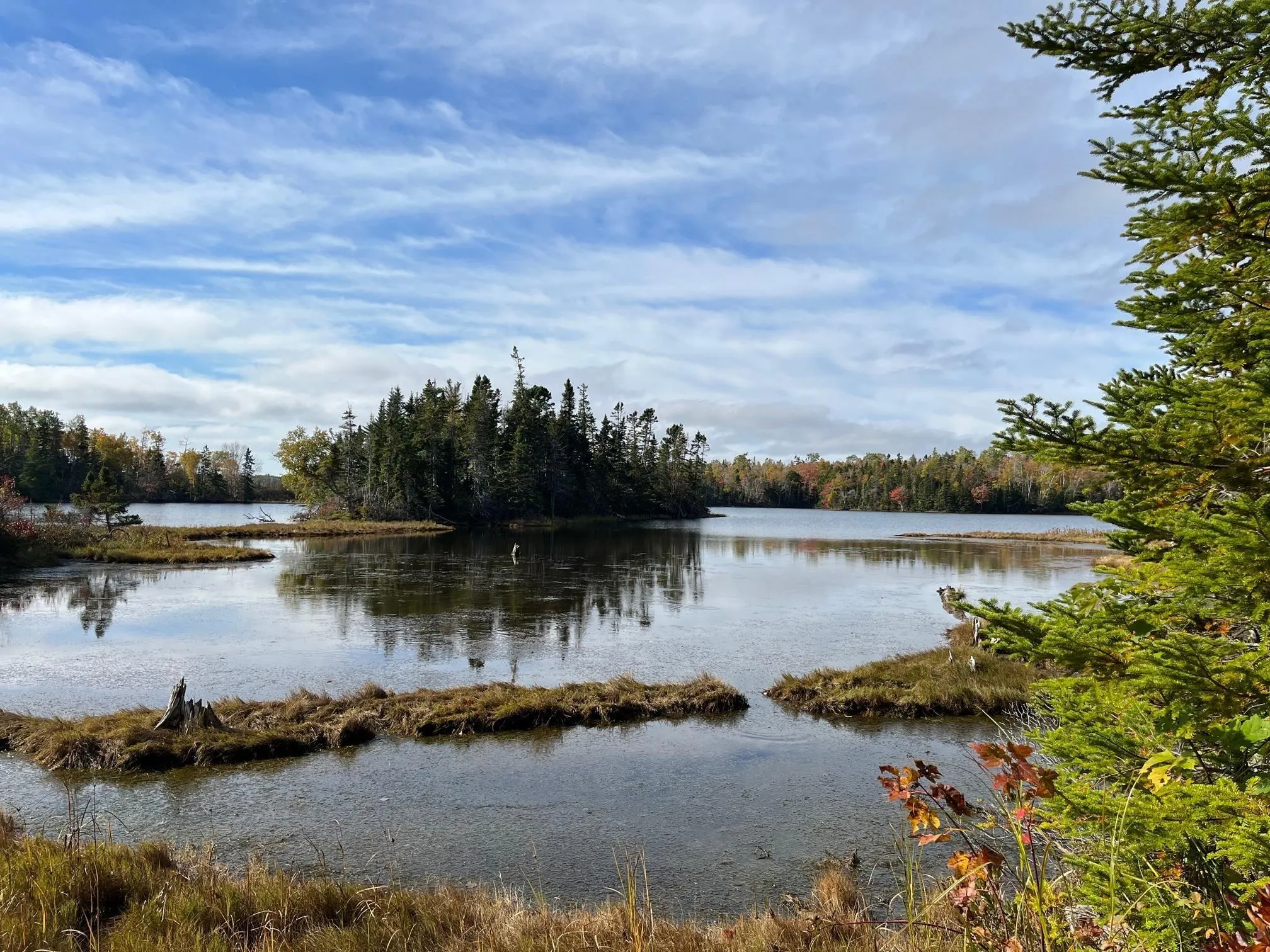 1223 Highway 223, Estmere Ns B0e 1t0, 4 Bedrooms Bedrooms, ,2 BathroomsBathrooms,Residential,For Sale,Highway 223,202224338