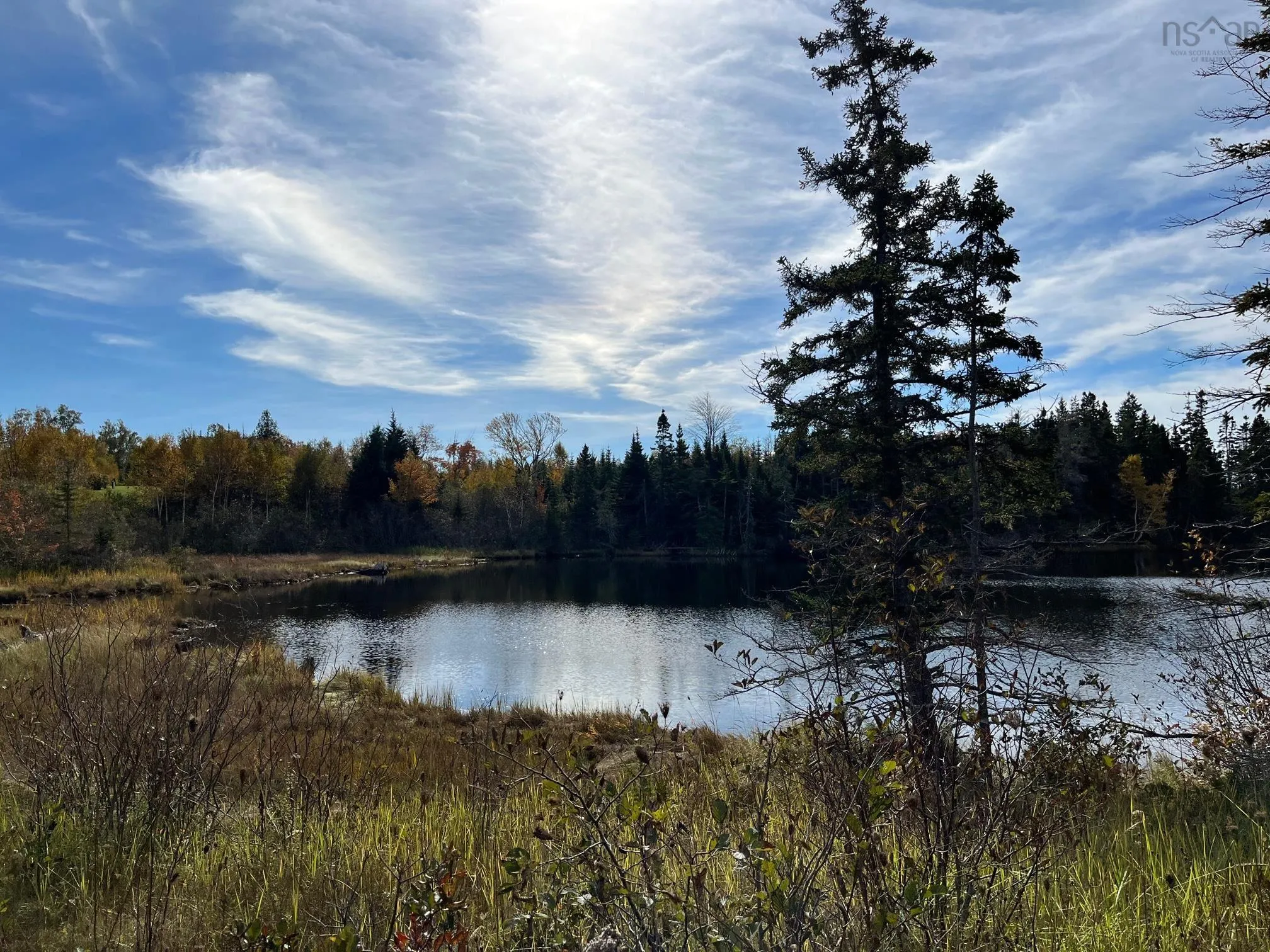 1223 Highway 223, Estmere Ns B0e 1t0, 4 Bedrooms Bedrooms, ,2 BathroomsBathrooms,Residential,For Sale,Highway 223,202224338