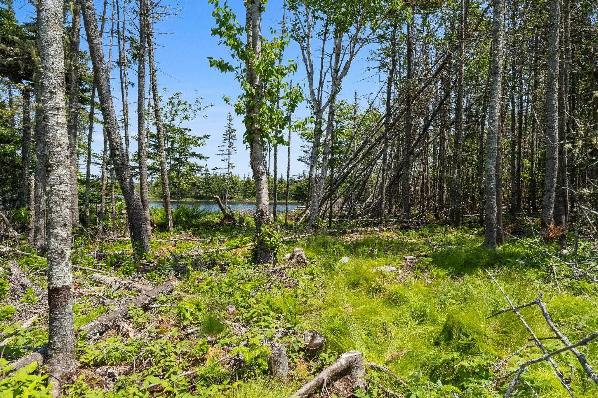 Lot Highway 207, Seaforth, NS B0J 2L0, ,Land,For Sale,Highway 207,202521001