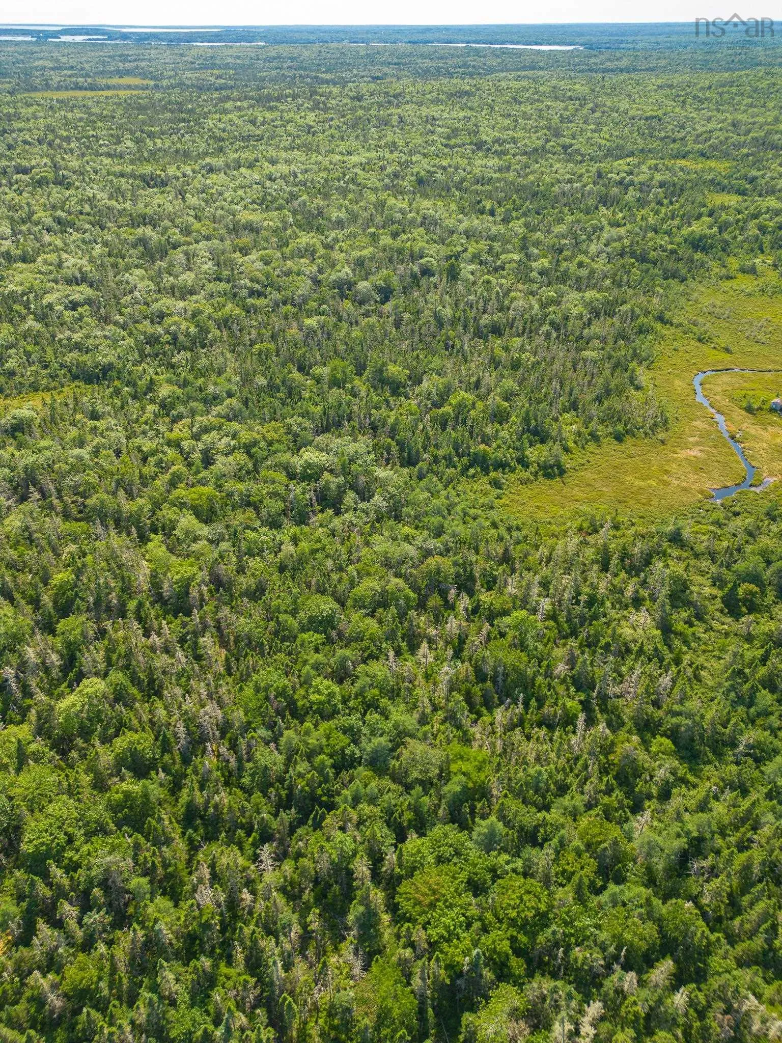 1694 West Sable Road, Louis Head Ns B0t 1v0, ,Land,For Sale,West Sable,202417792