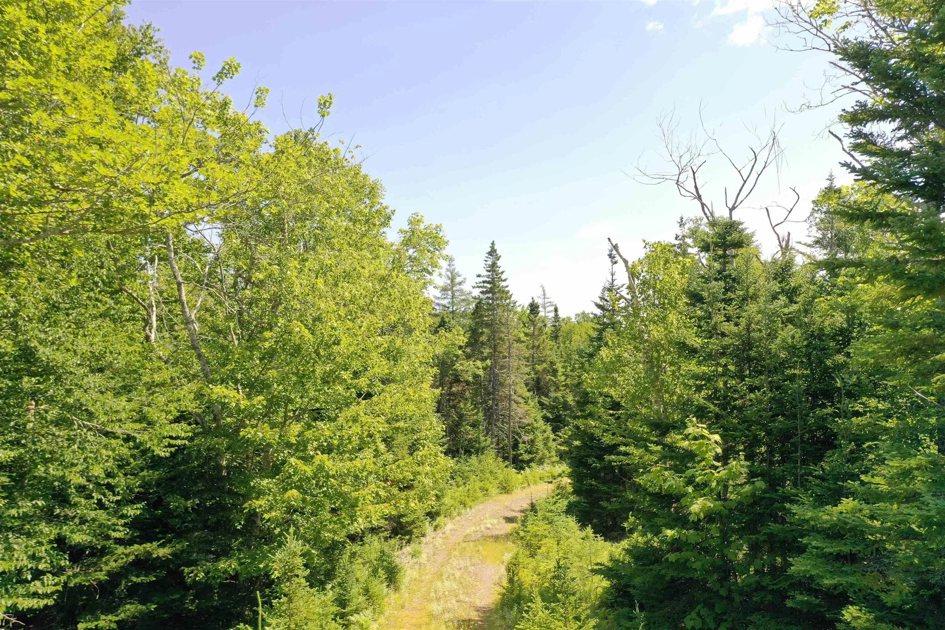 1a-24 Maple Drive, Cape George Estates, NS B0E 3B0, ,Land,For Sale,Maple,202518214