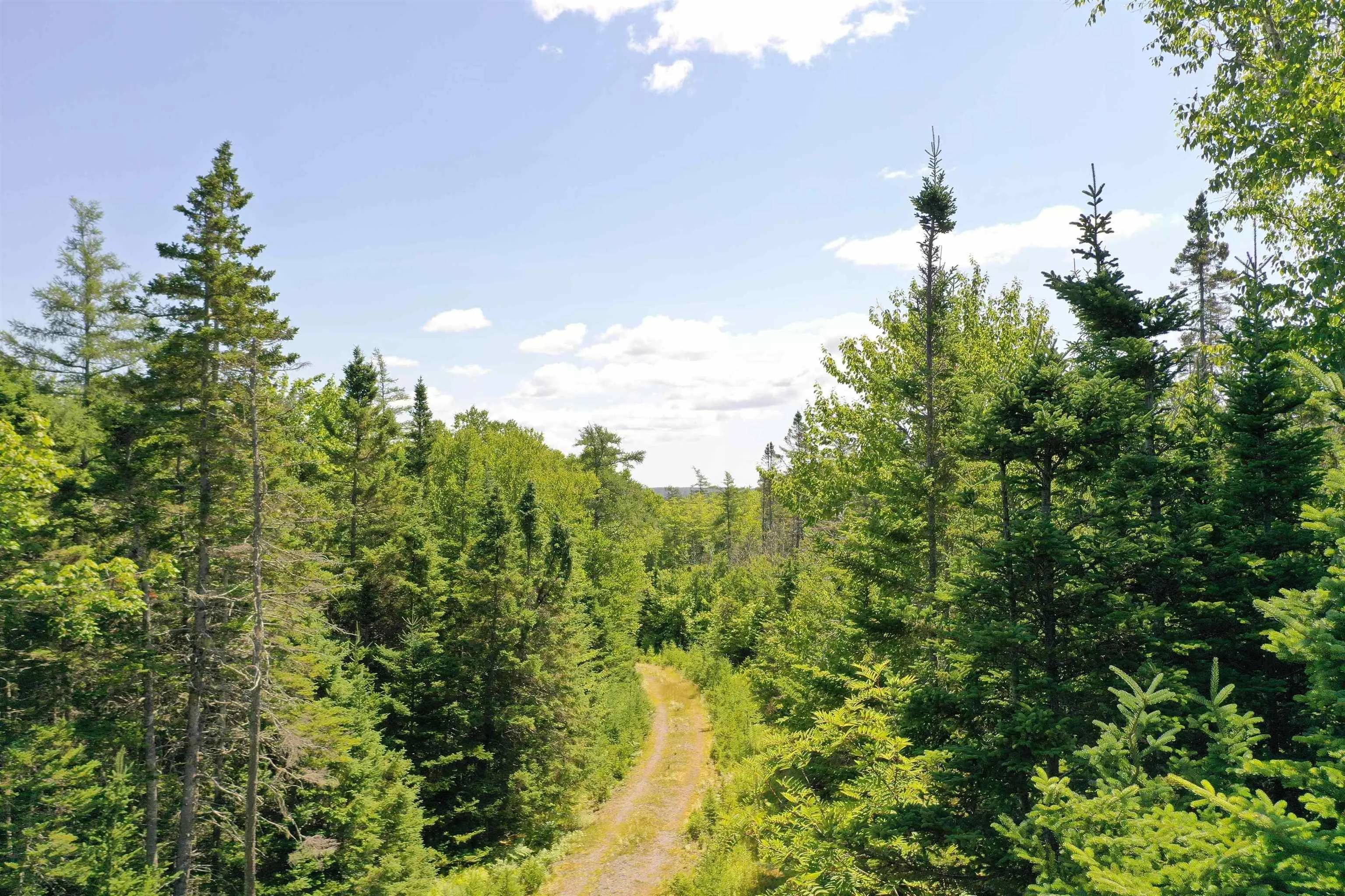 1a-24 Maple Drive, Cape George Estates, NS B0E 3B0, ,Land,For Sale,Maple,202518214