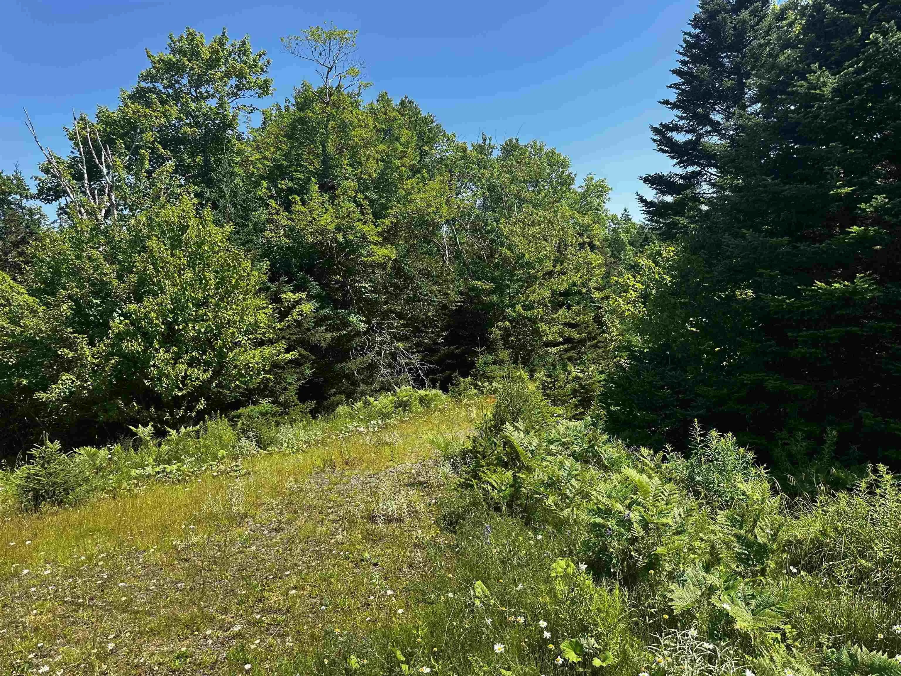 1a-24 Maple Drive, Cape George Estates, NS B0E 3B0, ,Land,For Sale,Maple,202518214