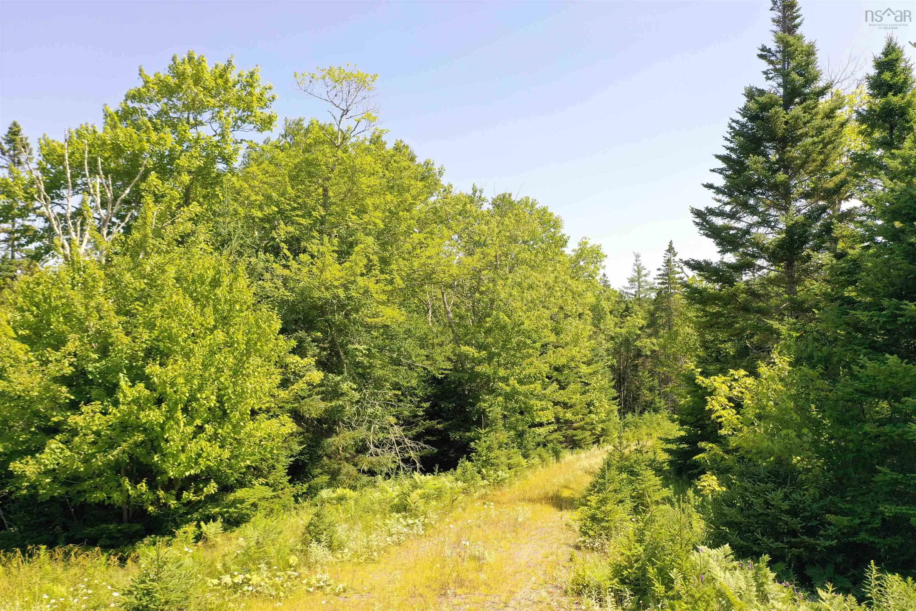 1a-24 Maple Drive, Cape George Estates, NS B0E 3B0, ,Land,For Sale,Maple,202518214