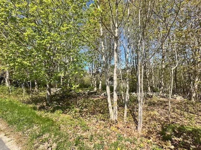 Pid#70041306 Pleasant Avenue, Mount Pleasant, NS B0T 1K0, ,Land,For Sale,(Pid 70041306) Pleasant,202511130