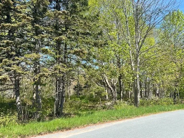 Pid#70041306 Pleasant Avenue, Mount Pleasant, NS B0T 1K0, ,Land,For Sale,(Pid 70041306) Pleasant,202511130