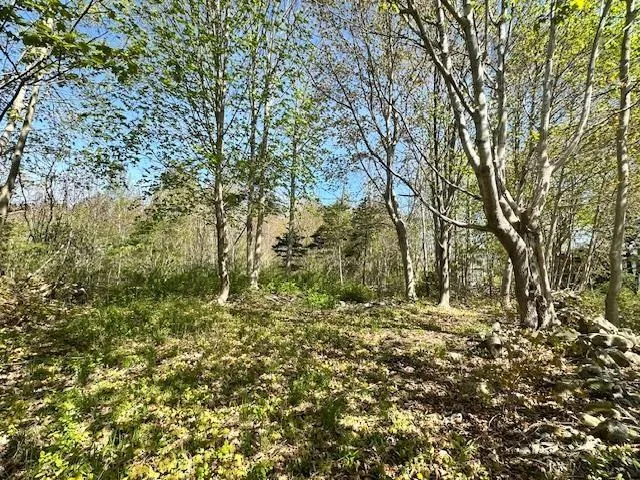 Pid#70041306 Pleasant Avenue, Mount Pleasant, NS B0T 1K0, ,Land,For Sale,(Pid 70041306) Pleasant,202511130