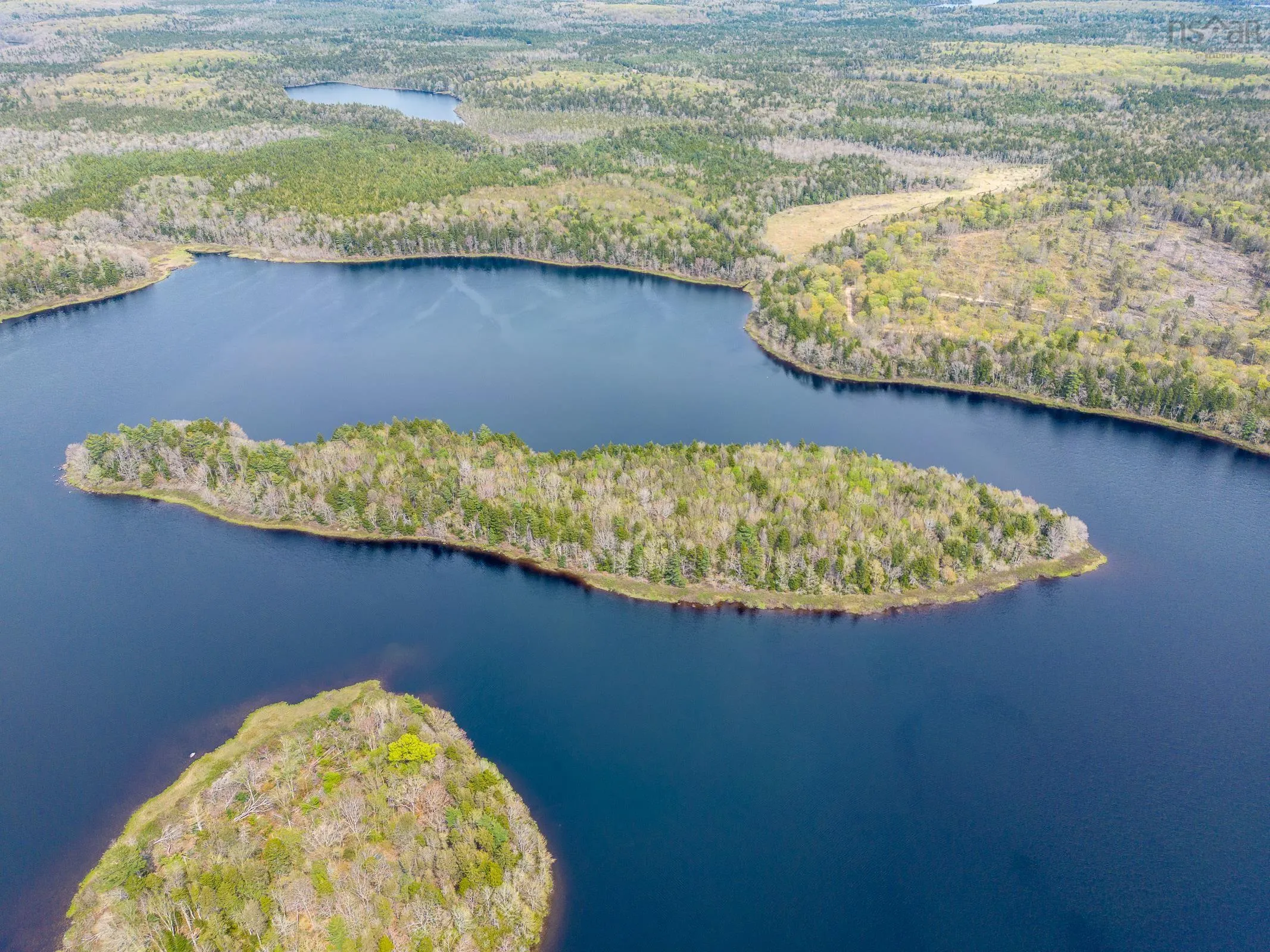 Island 6 Highway 340, Corberrie, NS B0W 3T0, ,Land,For Sale,Highway 340,202518011