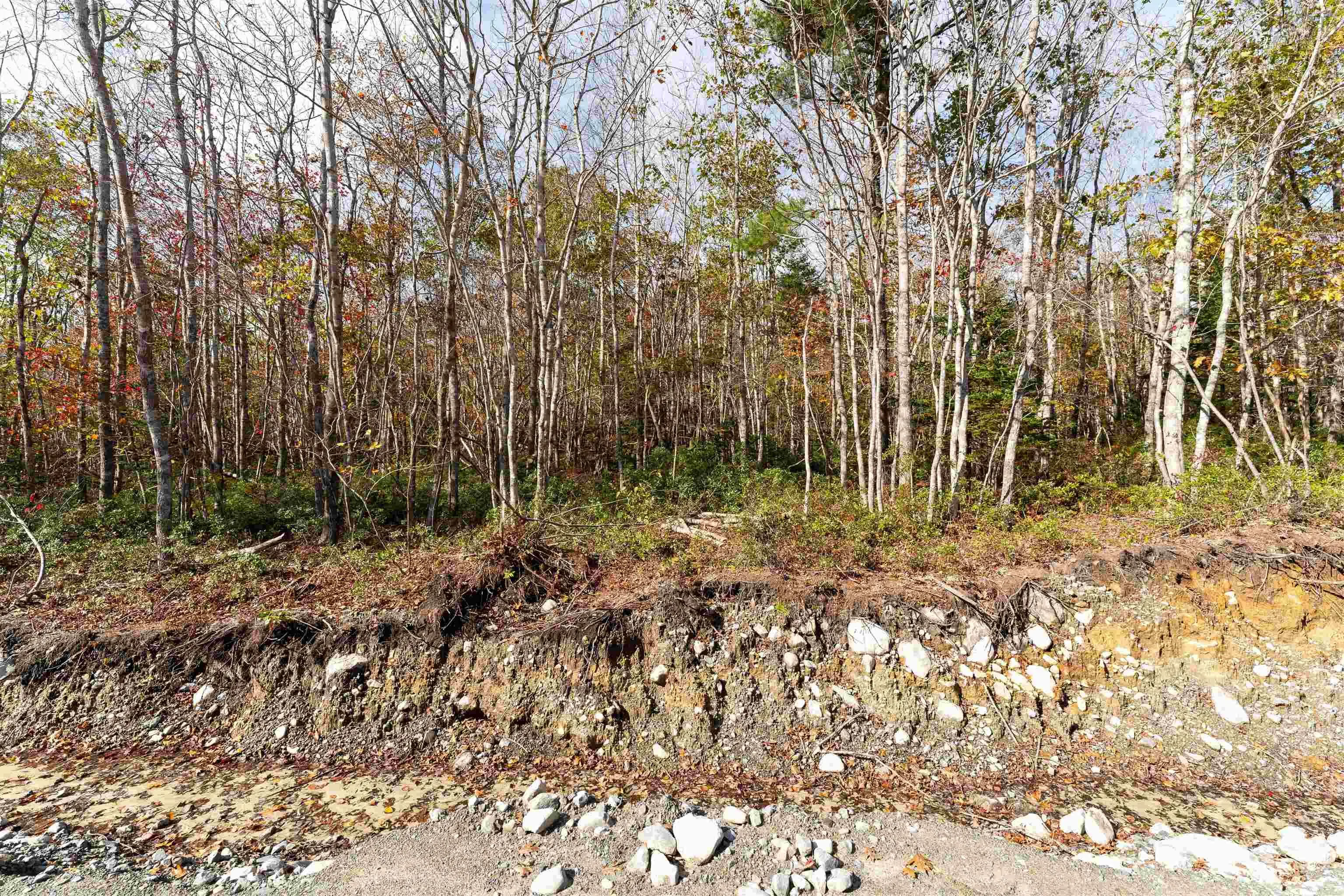 Morton Drive, Liverpool Ns B0t 1k0, ,Land,For Sale,Morton,202323384