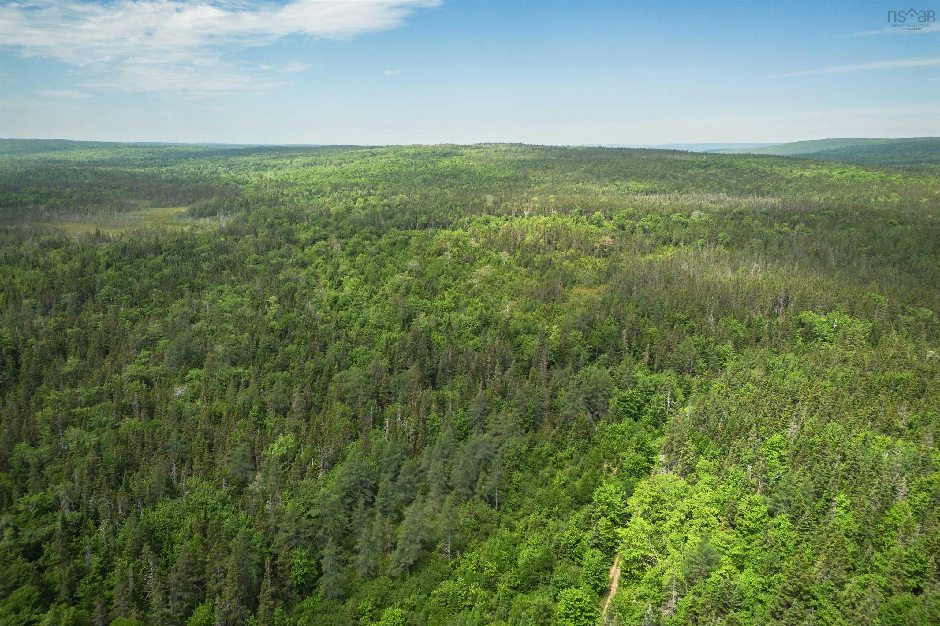 197 + / - Back Road, Thibeauville, NS B0E 1V0, ,Land,For Sale,Back Road,202511429