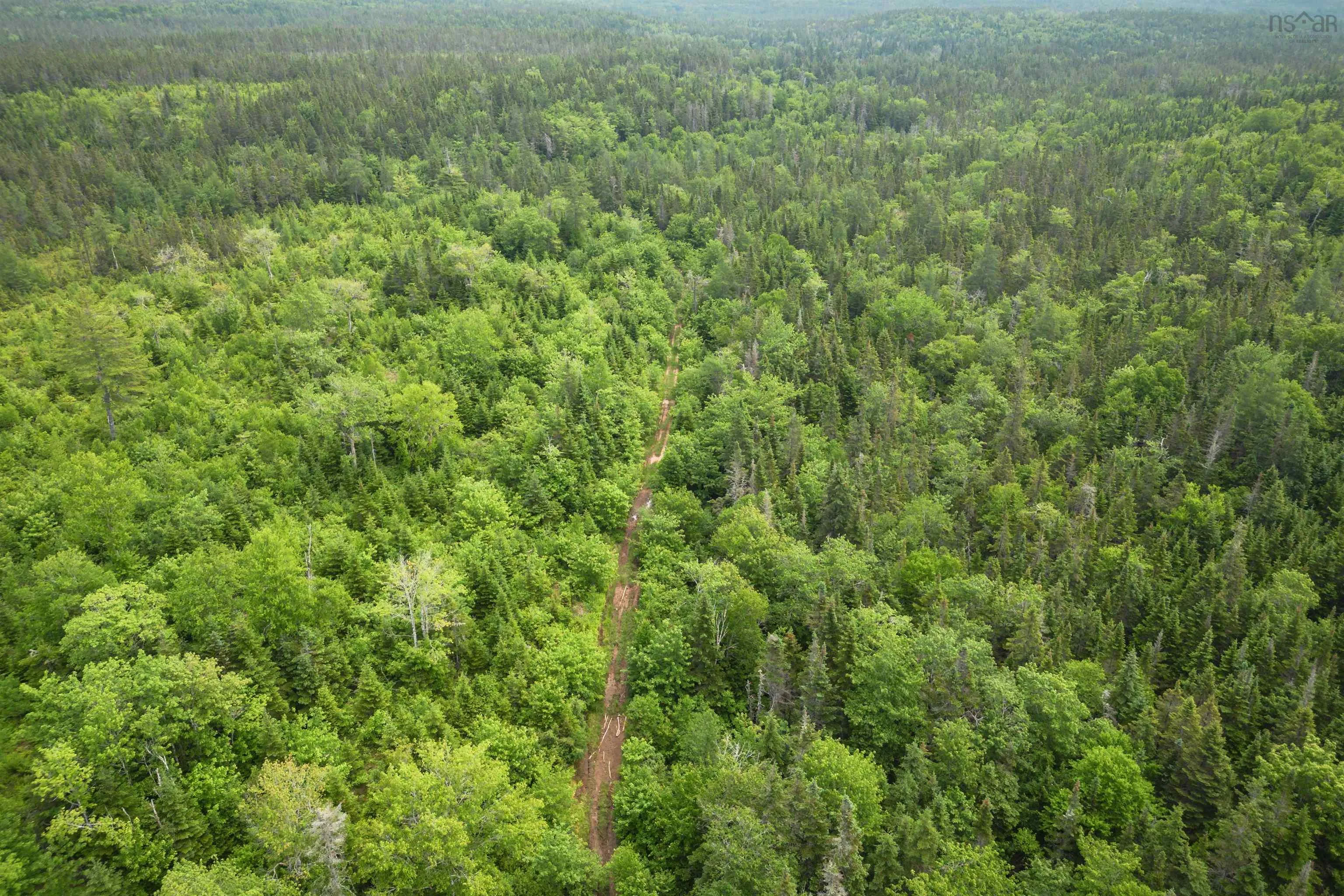 197 + / - Back Road, Thibeauville, NS B0E 1V0, ,Land,For Sale,Back Road,202511429