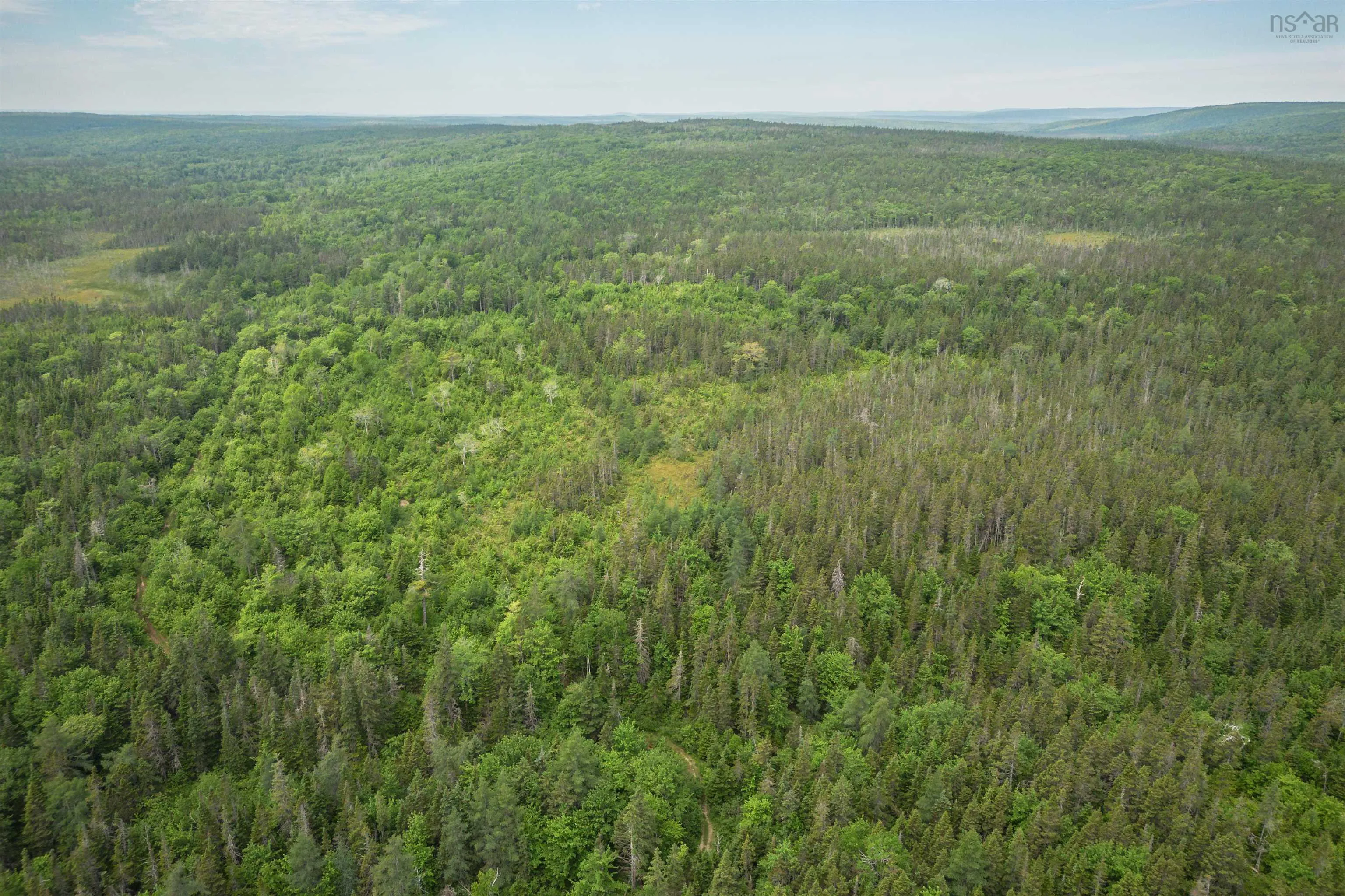 197 + / - Back Road, Thibeauville, NS B0E 1V0, ,Land,For Sale,Back Road,202511429