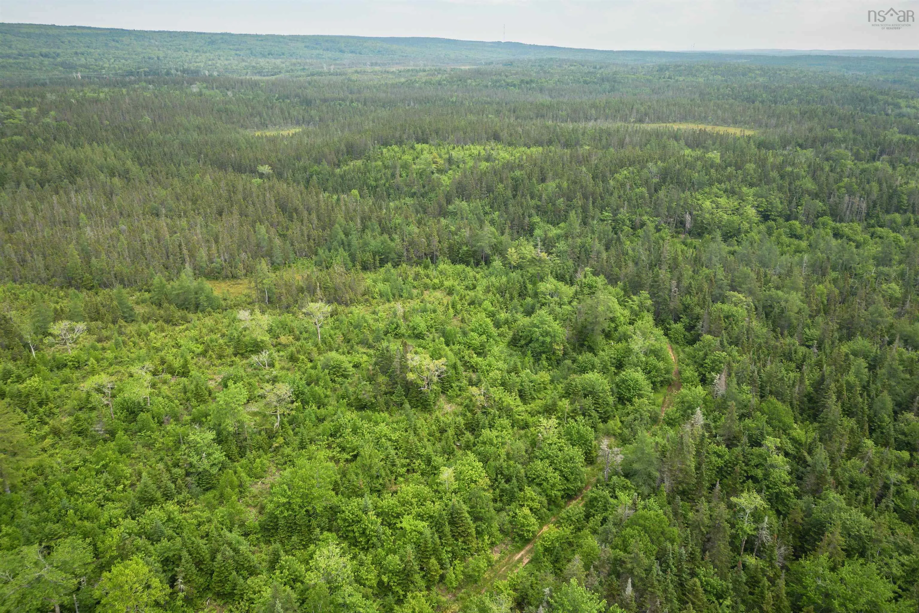 197 + / - Back Road, Thibeauville, NS B0E 1V0, ,Land,For Sale,Back Road,202511429