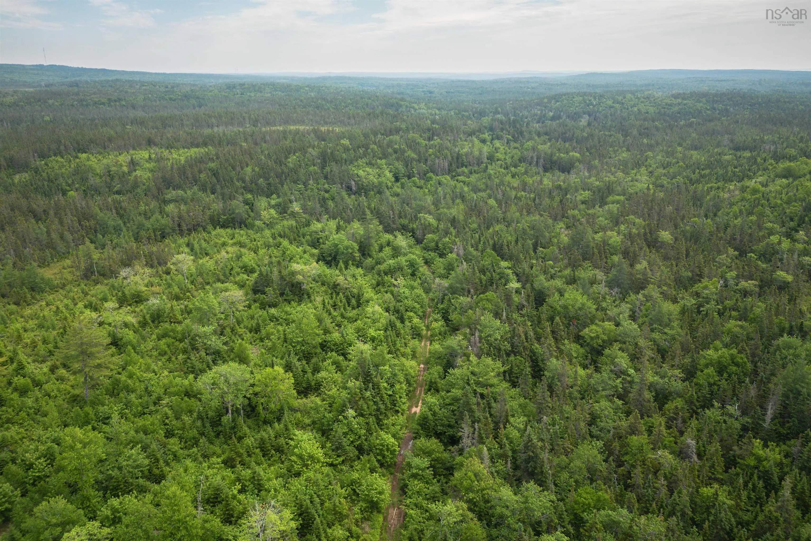 197 + / - Back Road, Thibeauville, NS B0E 1V0, ,Land,For Sale,Back Road,202511429