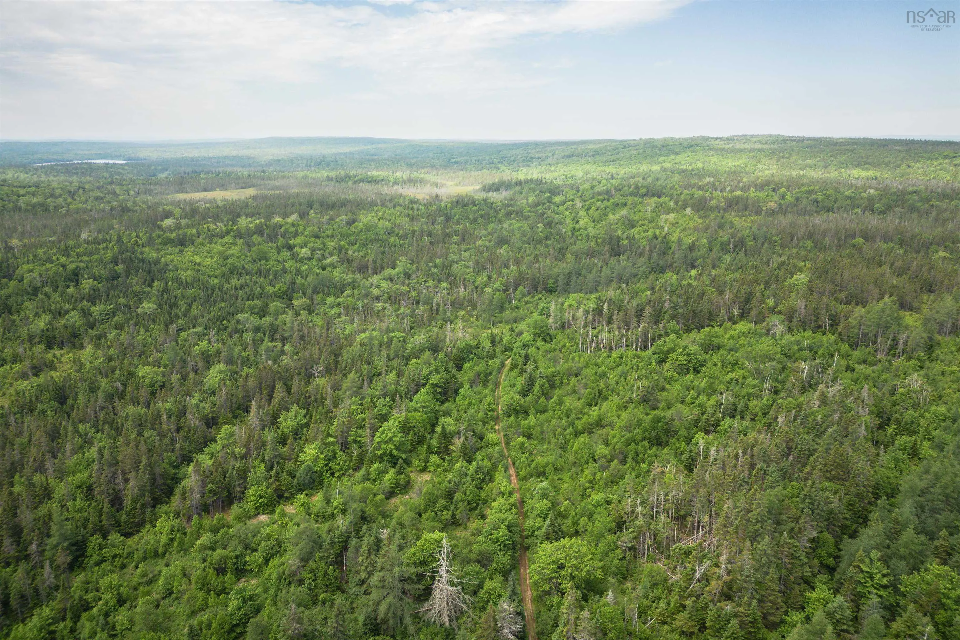 197 + / - Back Road, Thibeauville, NS B0E 1V0, ,Land,For Sale,Back Road,202511429