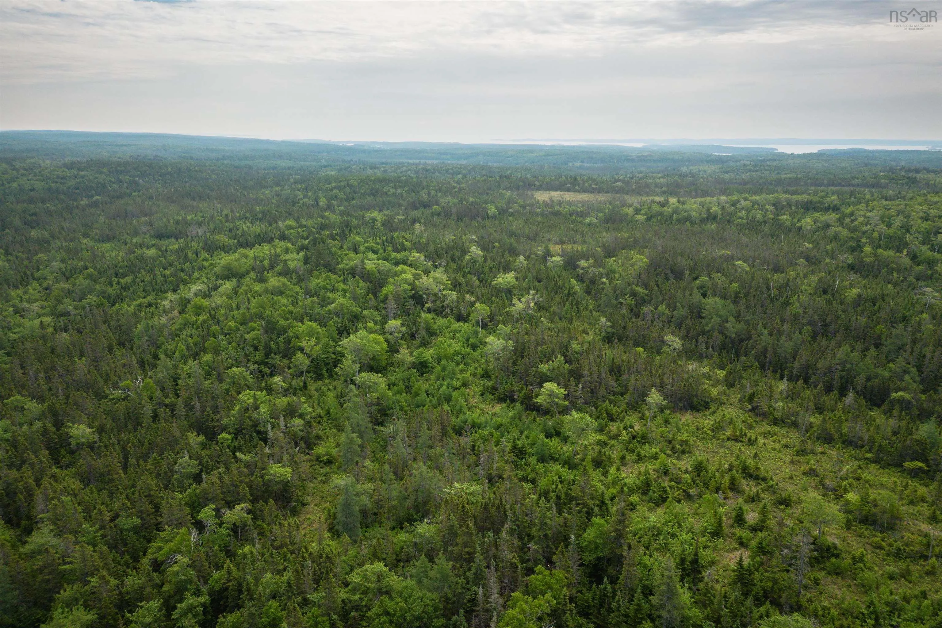 197 + / - Back Road, Thibeauville, NS B0E 1V0, ,Land,For Sale,Back Road,202511429