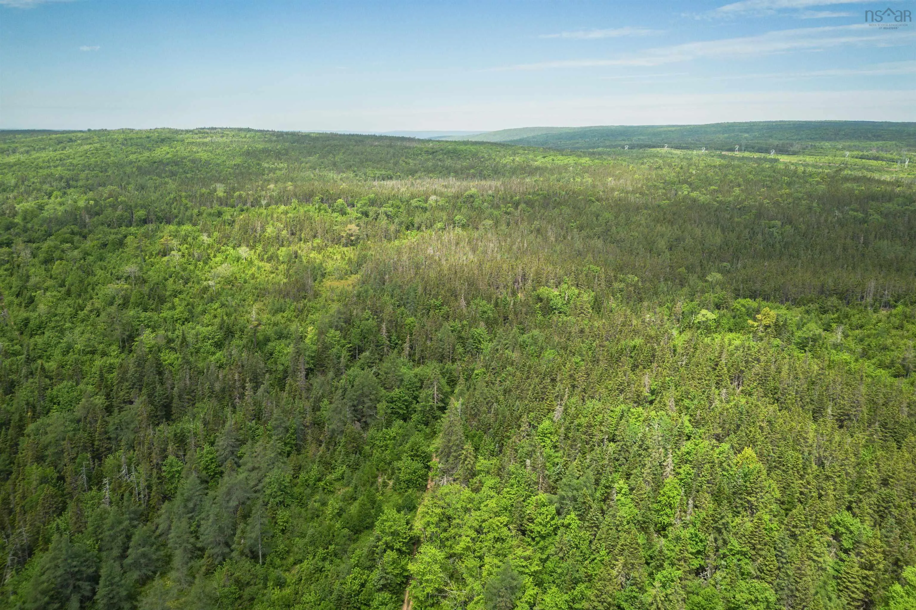 197 + / - Back Road, Thibeauville, NS B0E 1V0, ,Land,For Sale,Back Road,202511429