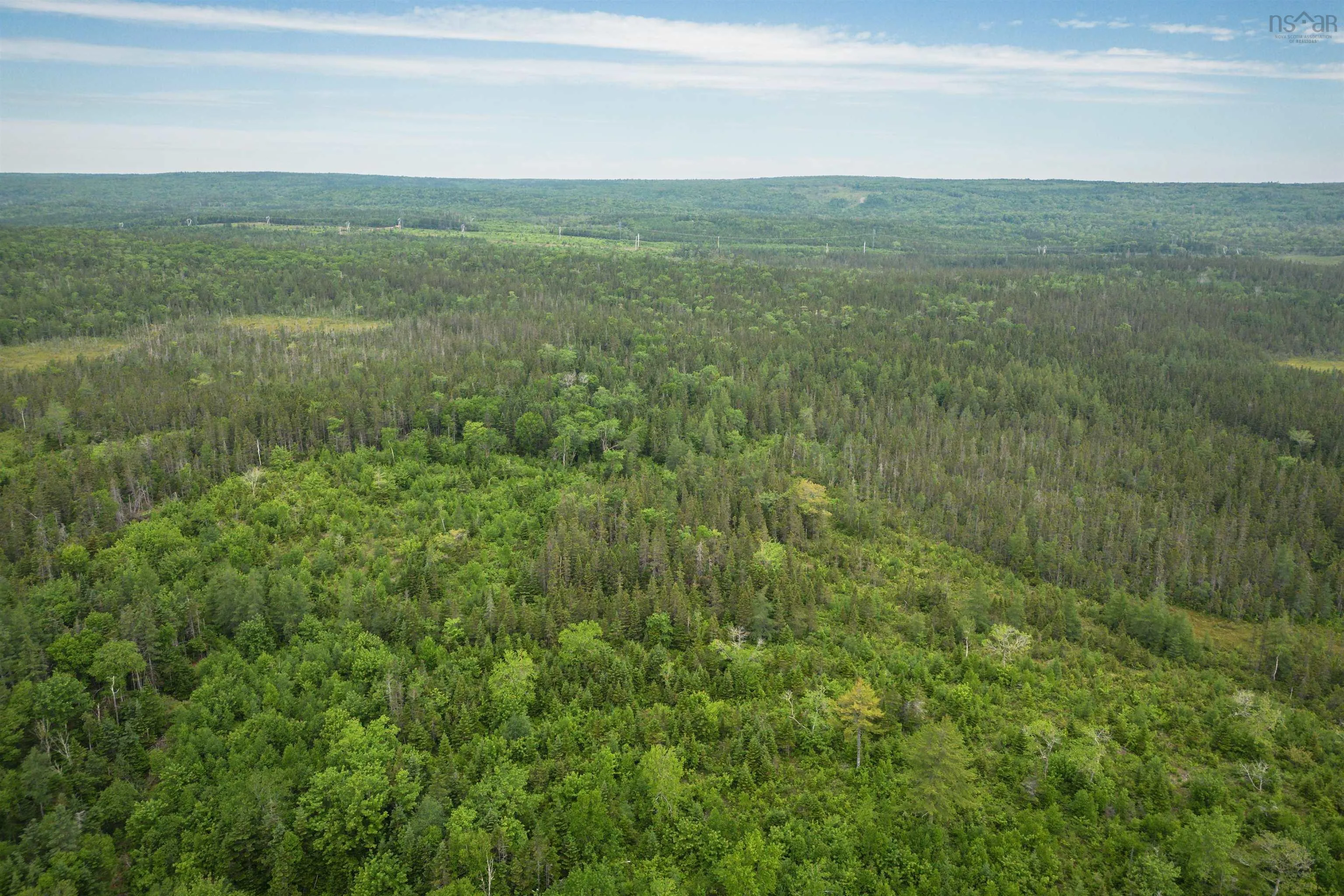 197 + / - Back Road, Thibeauville, NS B0E 1V0, ,Land,For Sale,Back Road,202511429