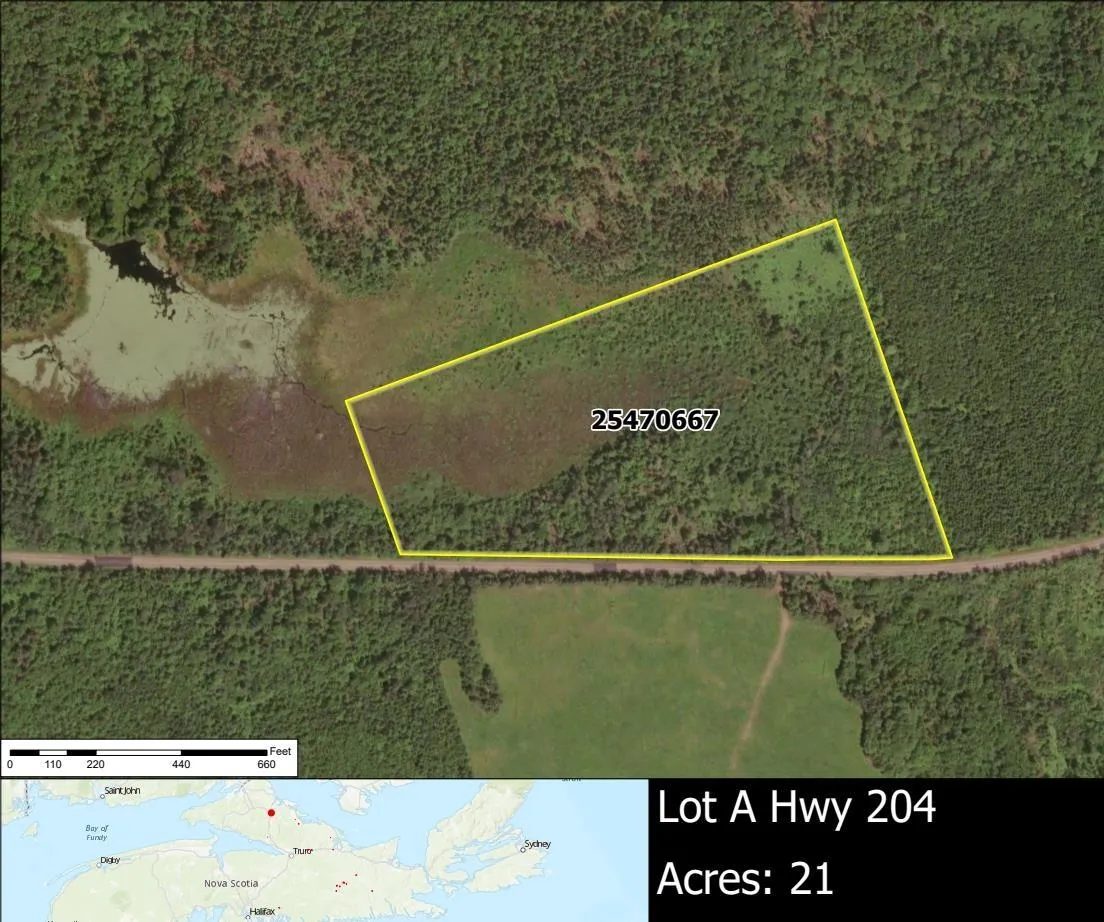 A No 204 Highway, South Victoria Ns B0m 1p0, ,Land,For Sale,No 204,202503415