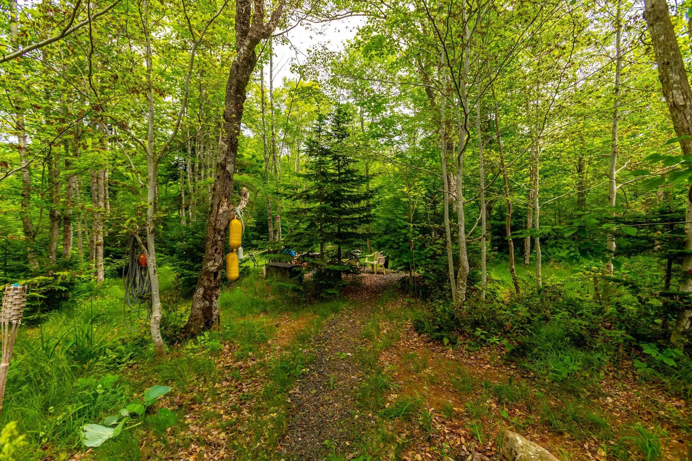 580 Rumsey Lake Road, Arlington West Ns B0s 1l0, 2 Bedrooms Bedrooms, ,1 BathroomBathrooms,Residential,For Sale,Rumsey Lake,202405091