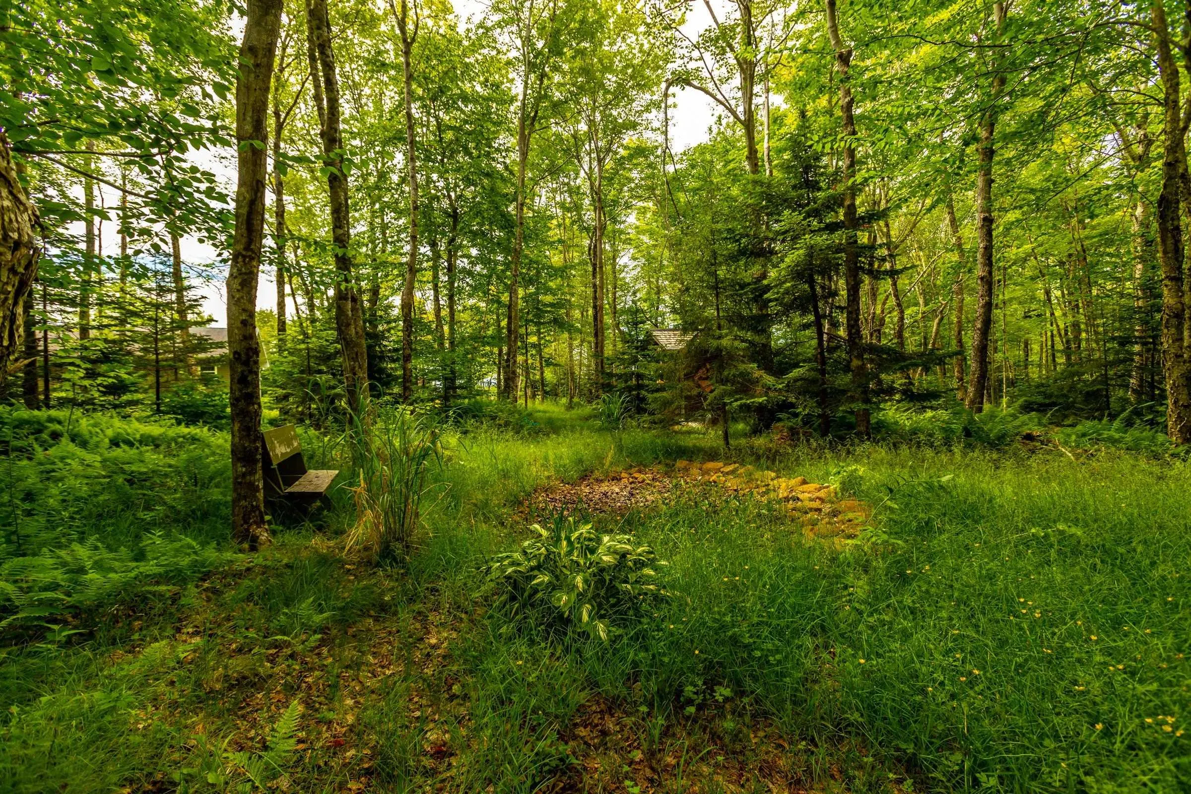 580 Rumsey Lake Road, Arlington West Ns B0s 1l0, 2 Bedrooms Bedrooms, ,1 BathroomBathrooms,Residential,For Sale,Rumsey Lake,202405091