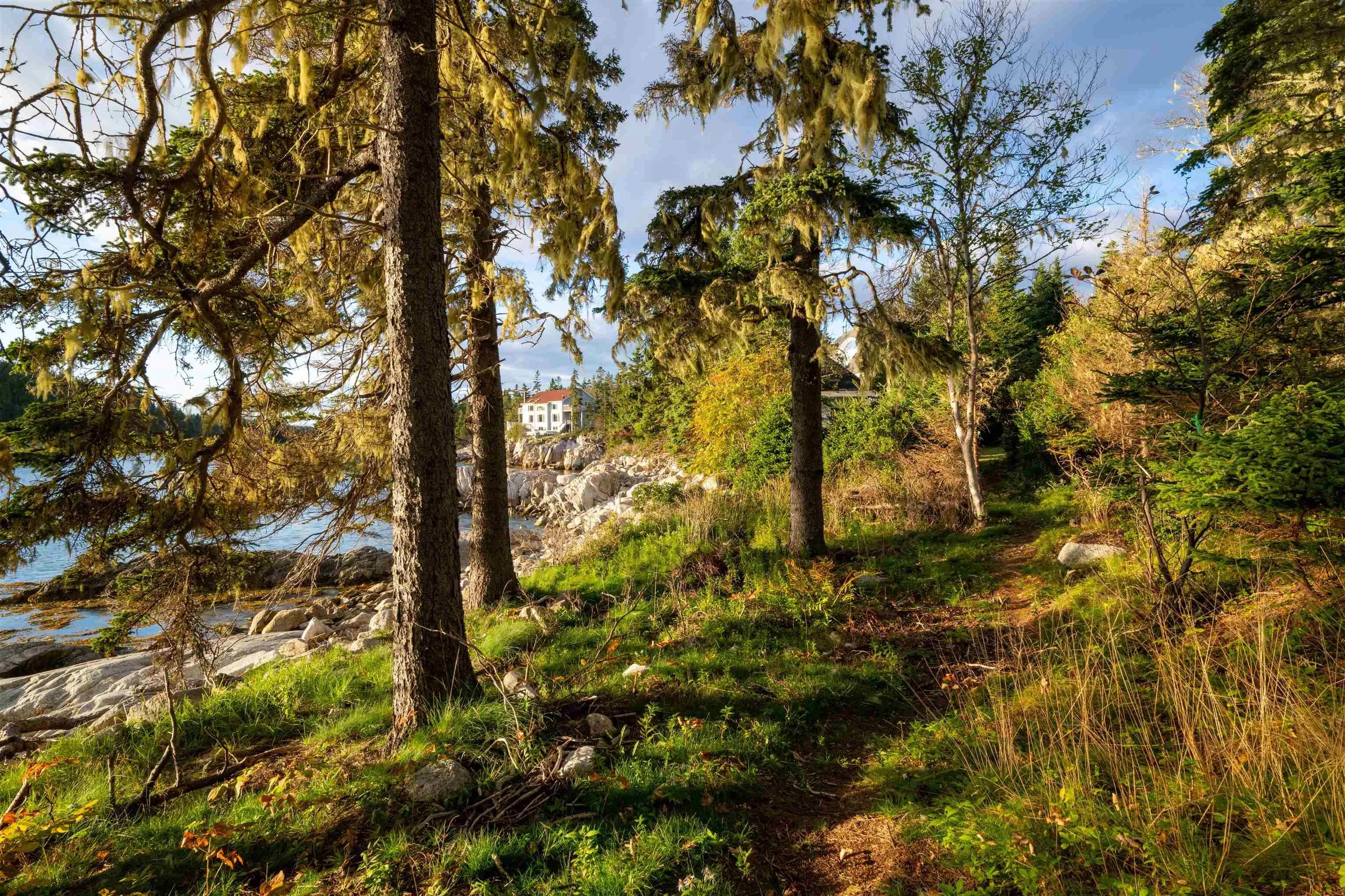 152 Owls Head Drive, Northwest Cove Ns B0j 1t0, 5 Bedrooms Bedrooms, ,3 BathroomsBathrooms,Residential,For Sale,Owls Head,202423941