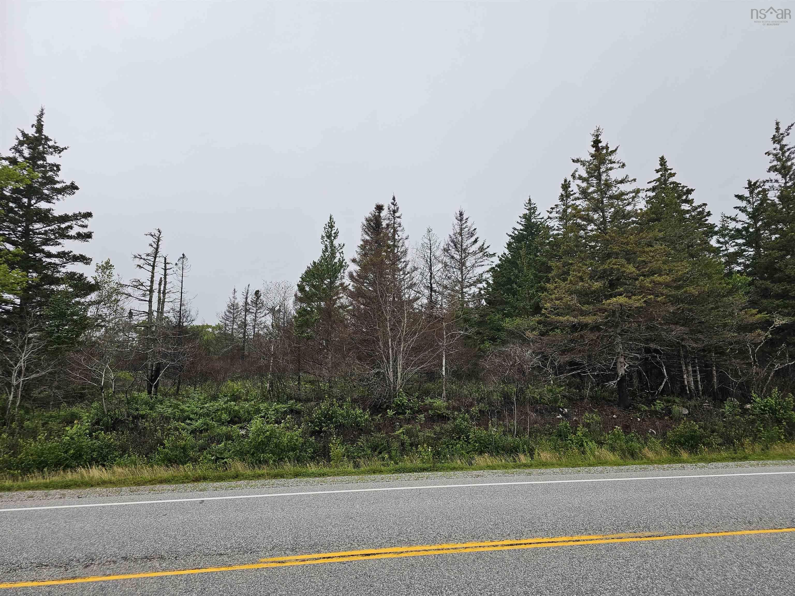 tbc 103 Highway, Clyde River NS B0W 1R0, ,Land,For Sale,103,202322415