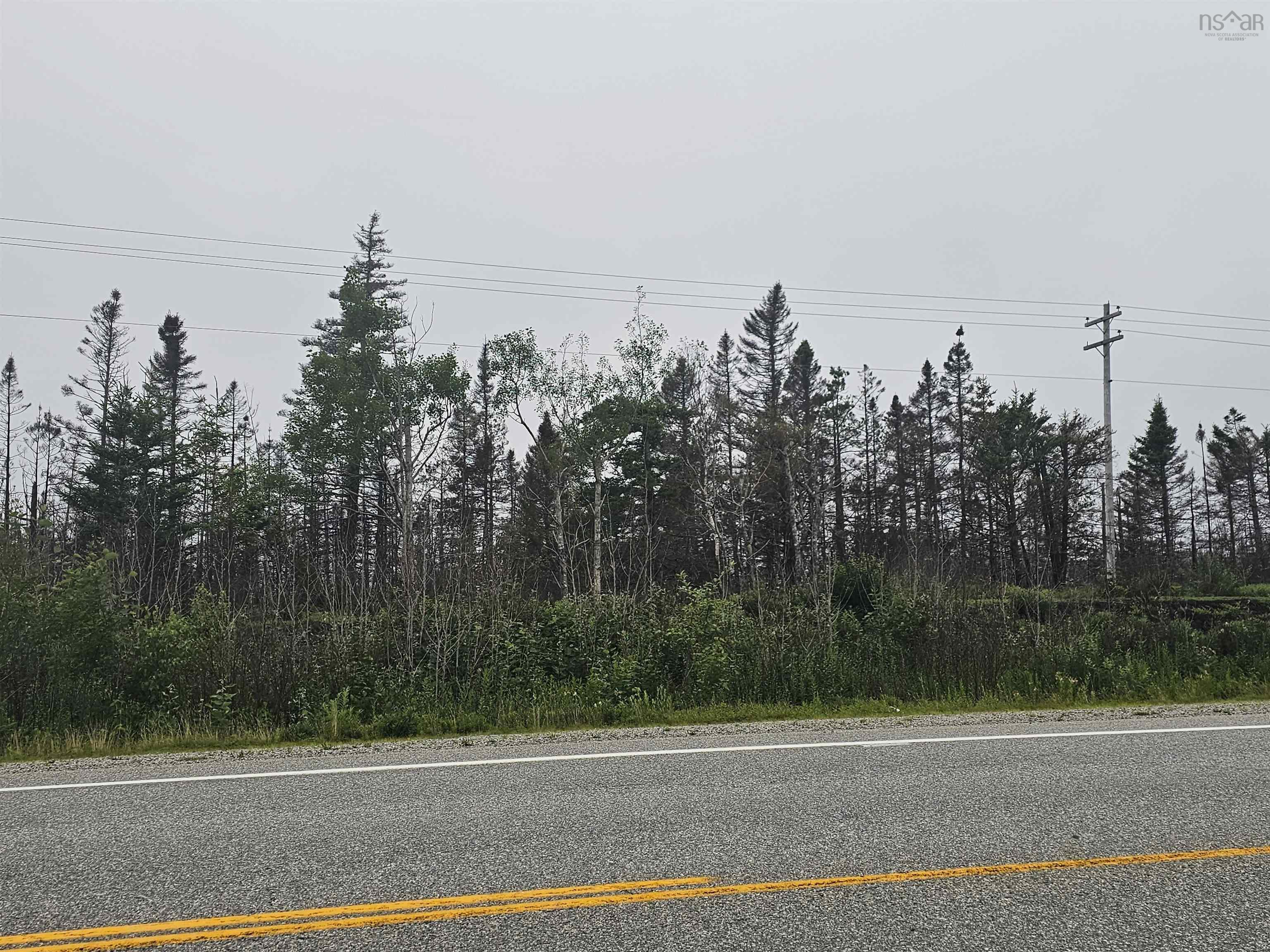 tbc 103 Highway, Clyde River NS B0W 1R0, ,Land,For Sale,103,202322415