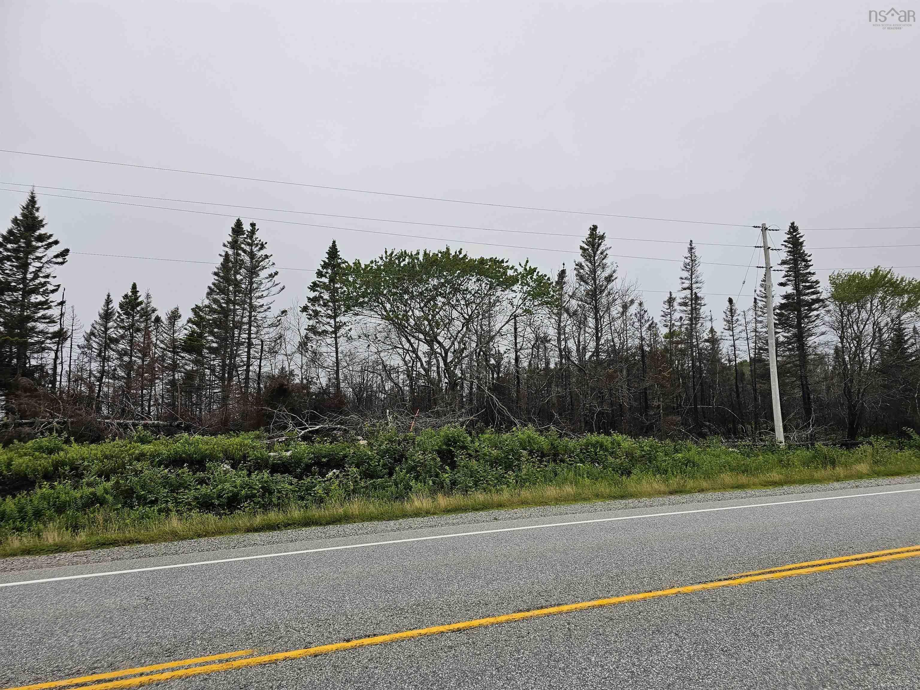 tbc 103 Highway, Clyde River NS B0W 1R0, ,Land,For Sale,103,202322415