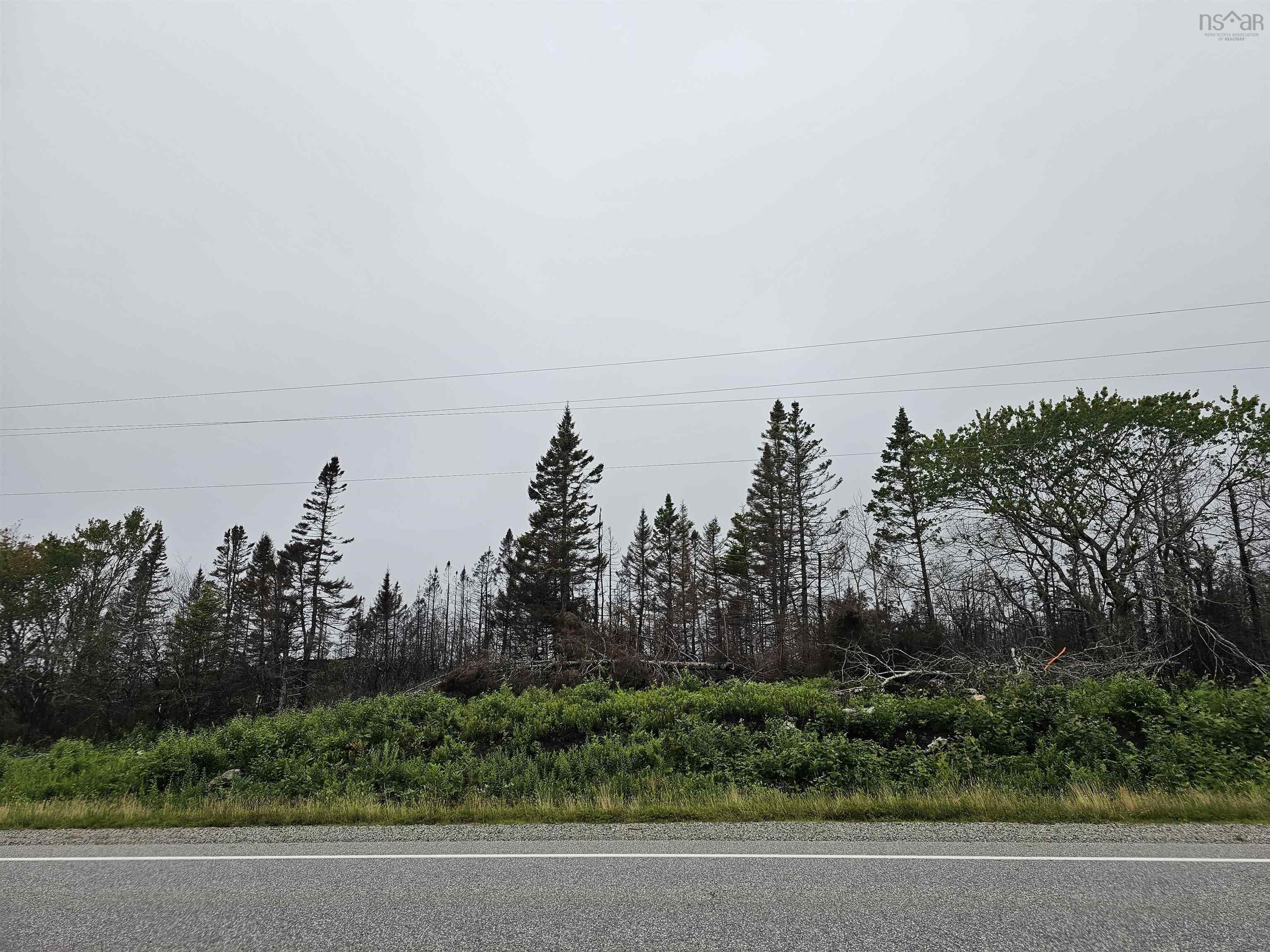 tbc 103 Highway, Clyde River NS B0W 1R0, ,Land,For Sale,103,202322415