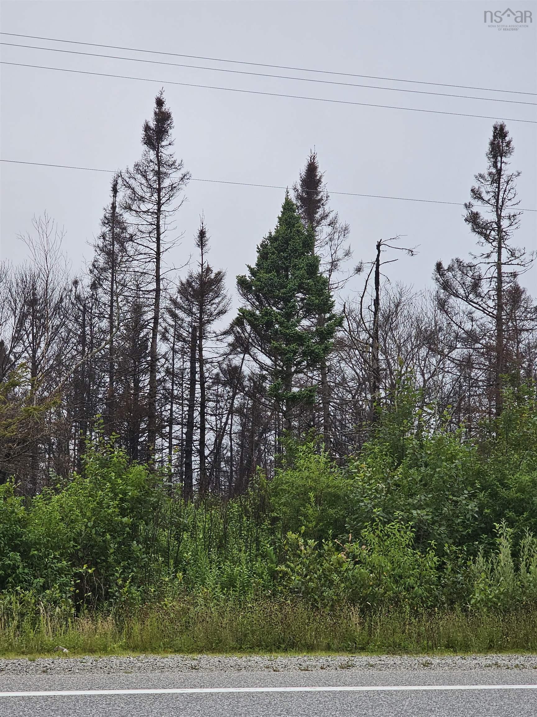 tbc 103 Highway, Clyde River NS B0W 1R0, ,Land,For Sale,103,202322415