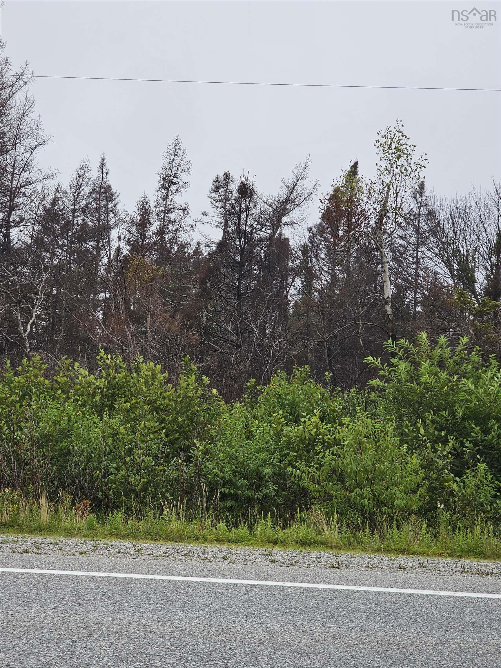 tbc 103 Highway, Clyde River NS B0W 1R0, ,Land,For Sale,103,202322415