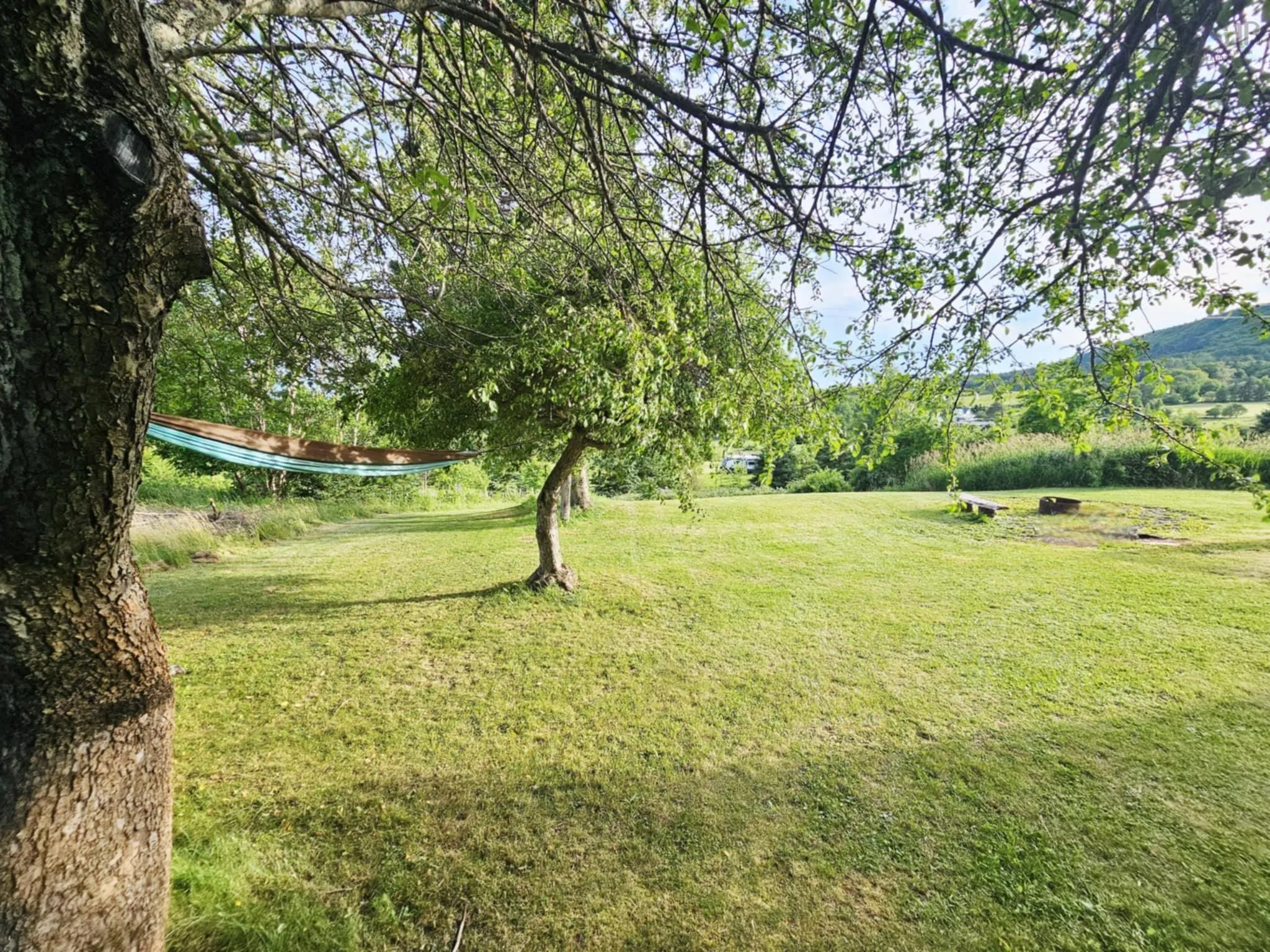 1994 Highway 2, Economy, NS B0M 1B0, 4 Bedrooms Bedrooms, ,2 BathroomsBathrooms,Residential,For Sale,Highway 2,202518881